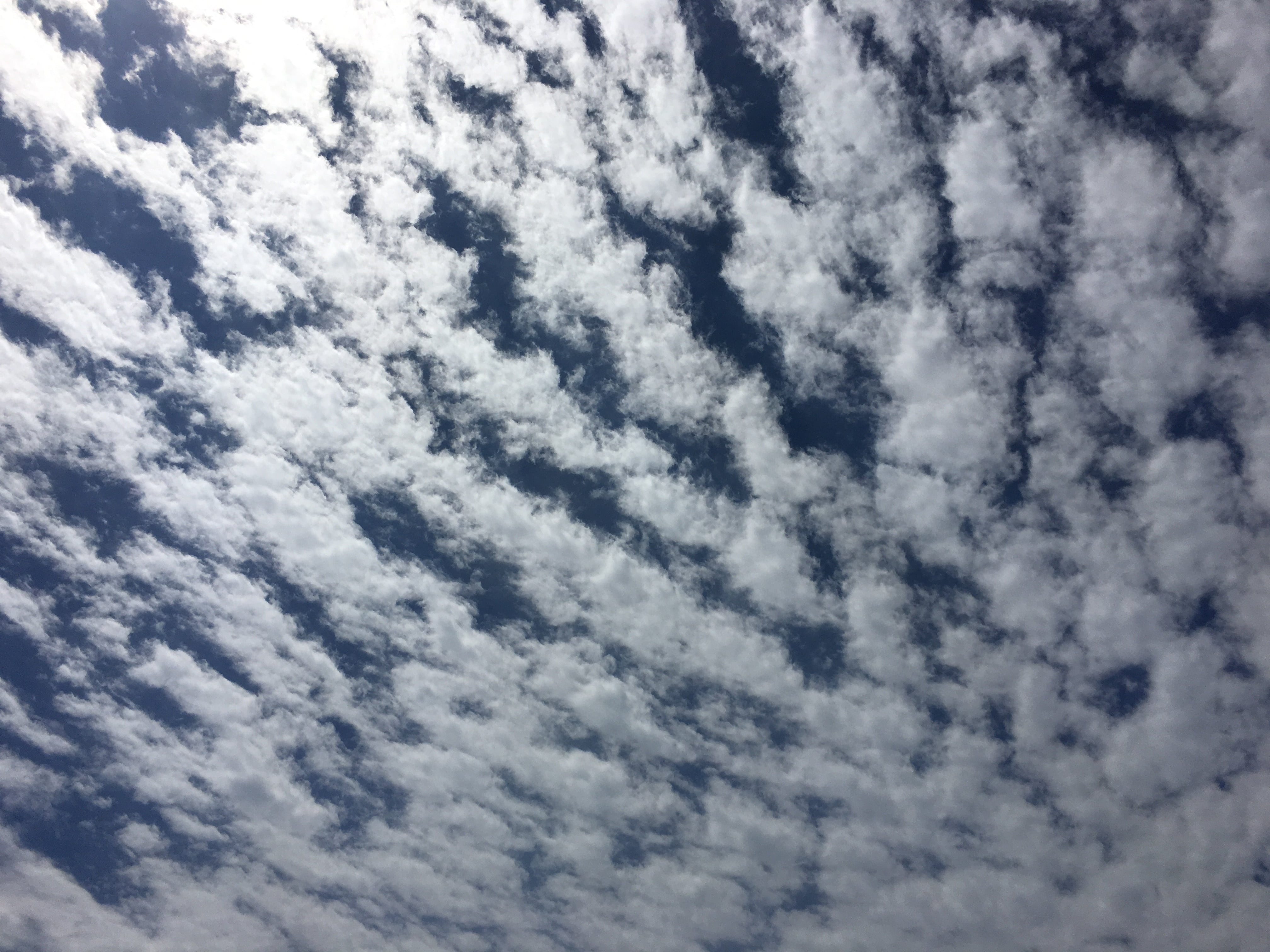 clouds, sky, sky clouds, blue sky clouds, nature, horizon, clouded