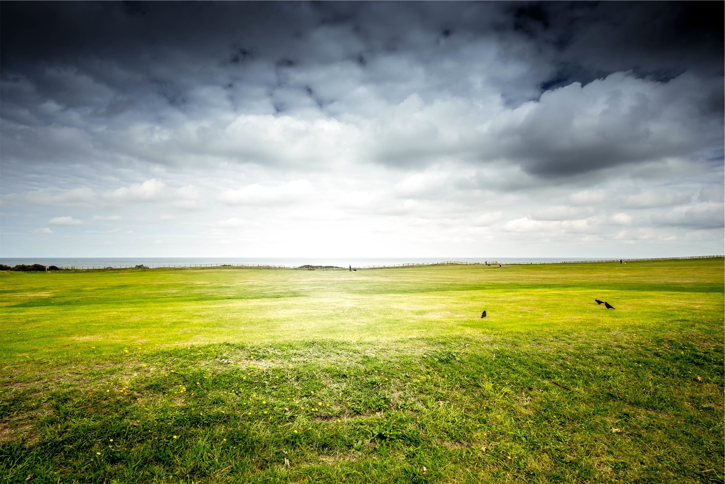 green, grass, field, cloudy, cloud - sky, environment, landscape