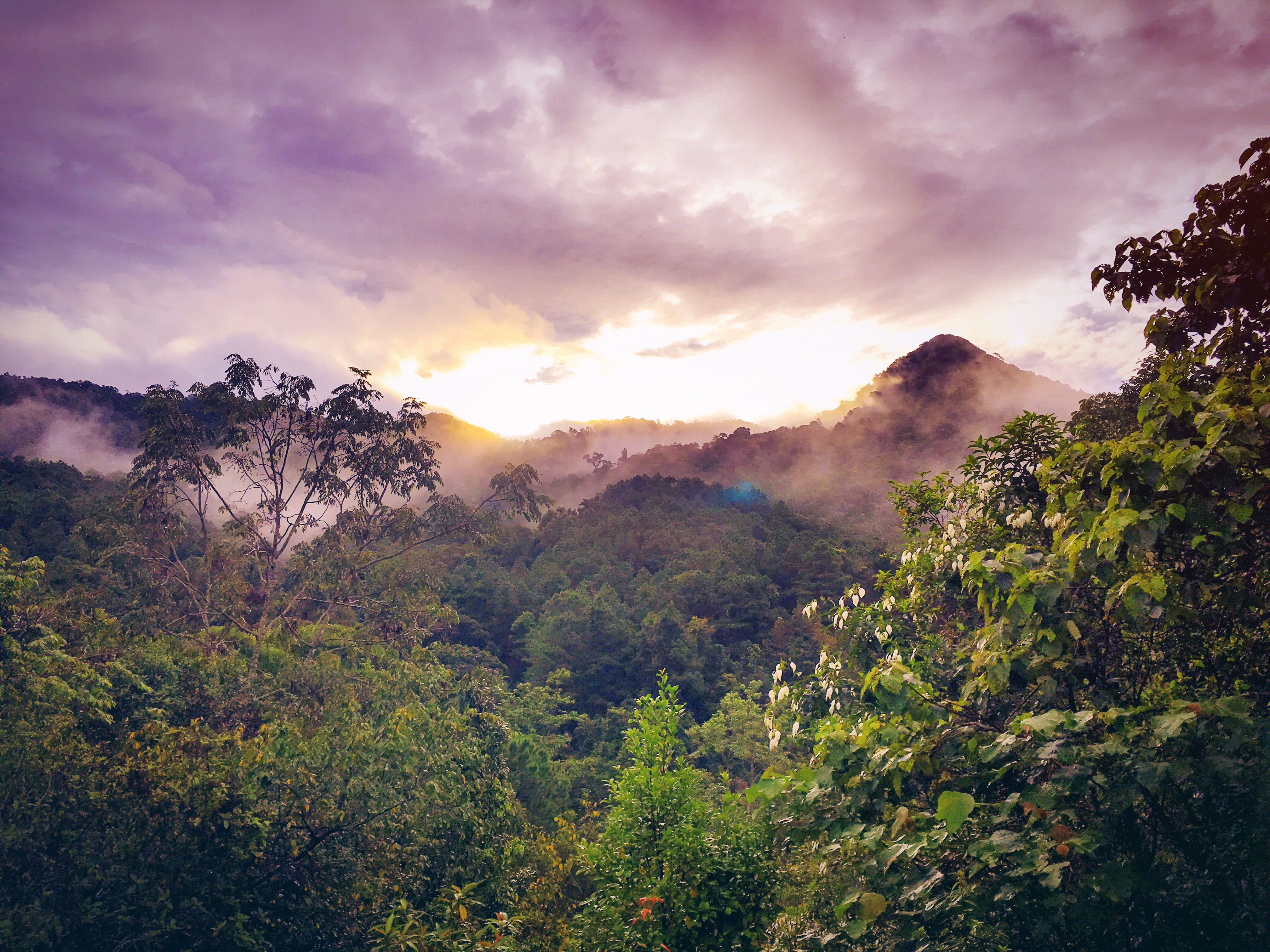 light, dawn, landscape, nature, clouds, daylight, dusk, environment