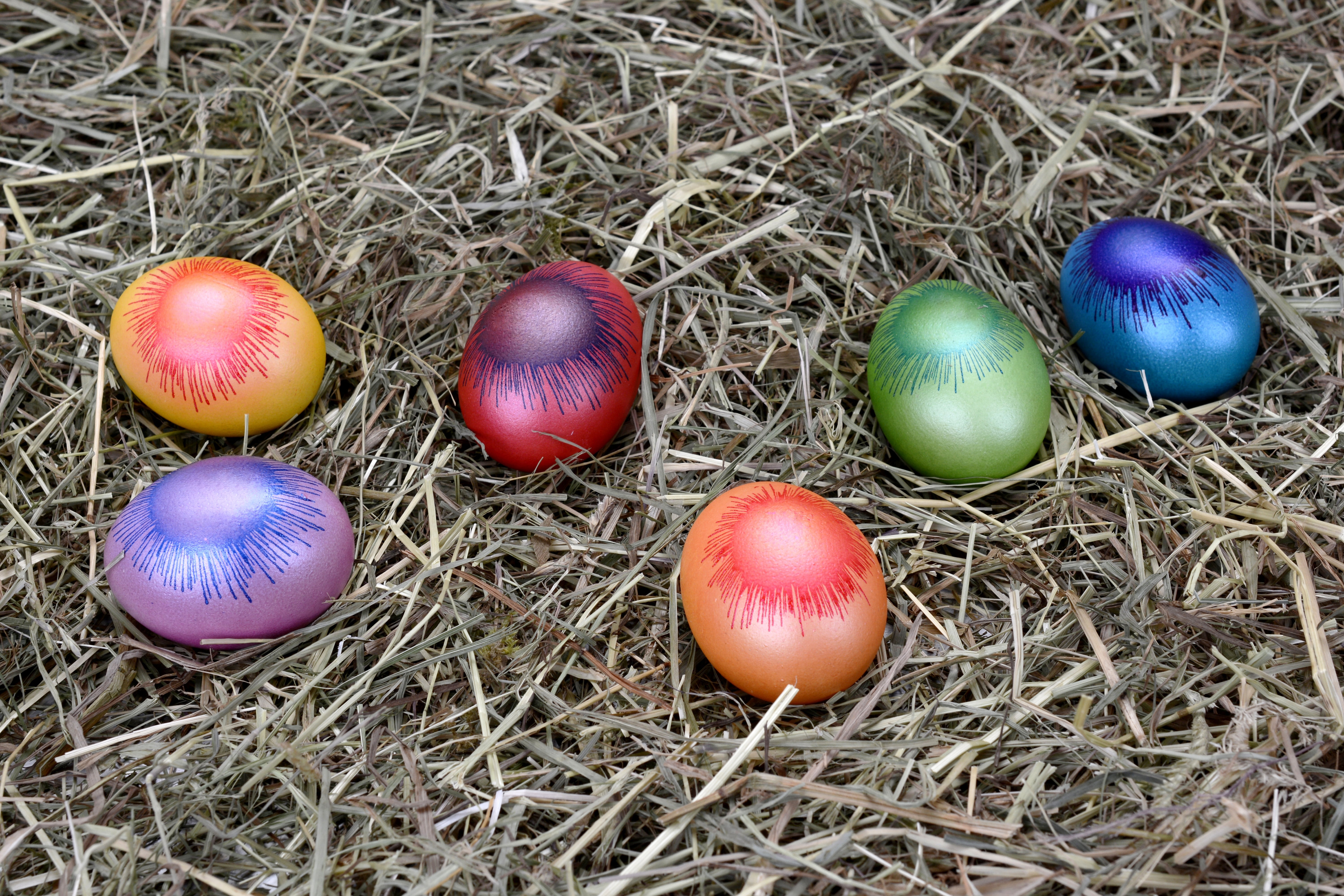 six assorted easter eggs, decoration, easter decoration, happy easter