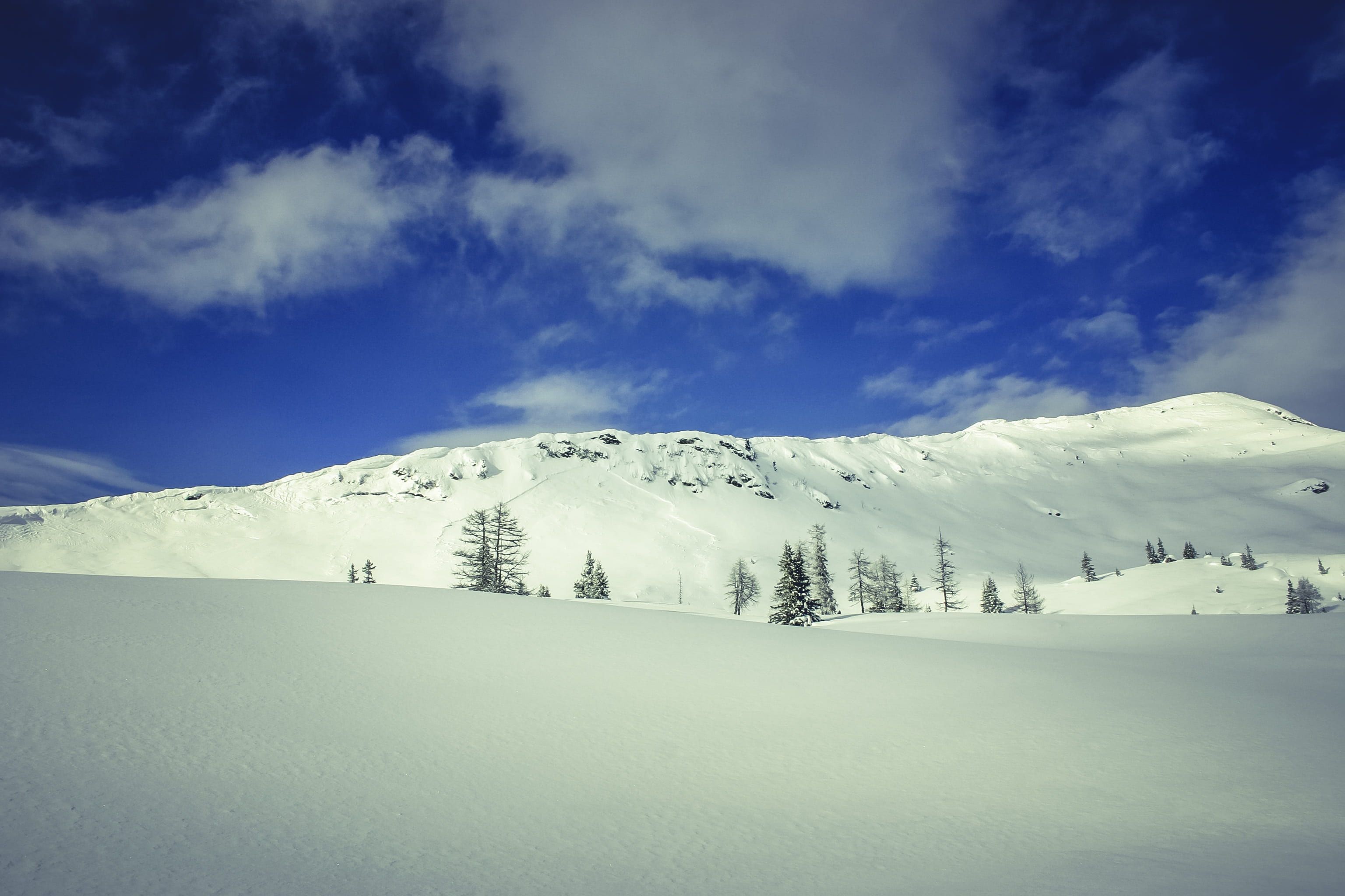 clouds, cold, mountain, sky, snow, trees, winter, cold temperature