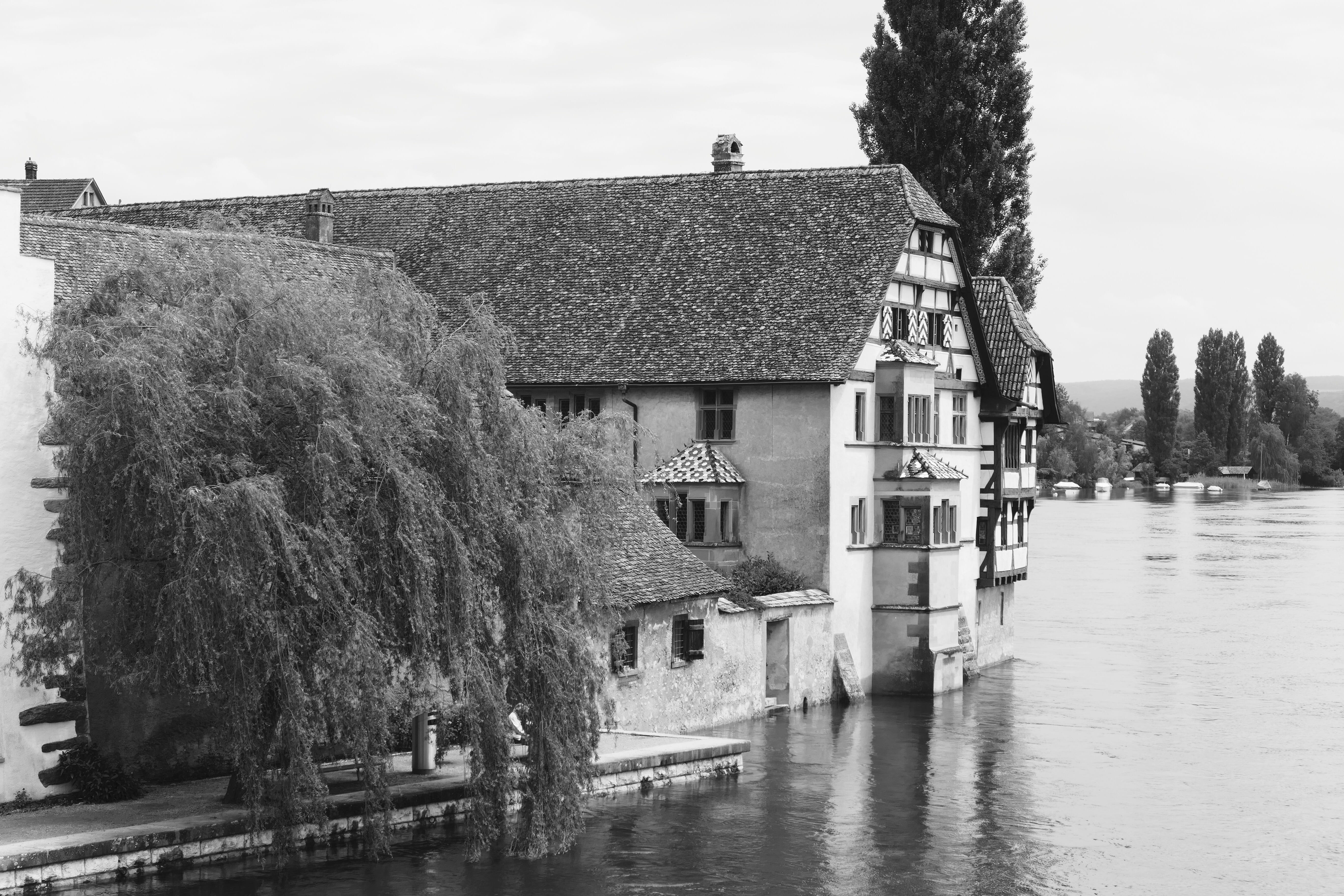 human, waters, river, rhine, built structure, architecture