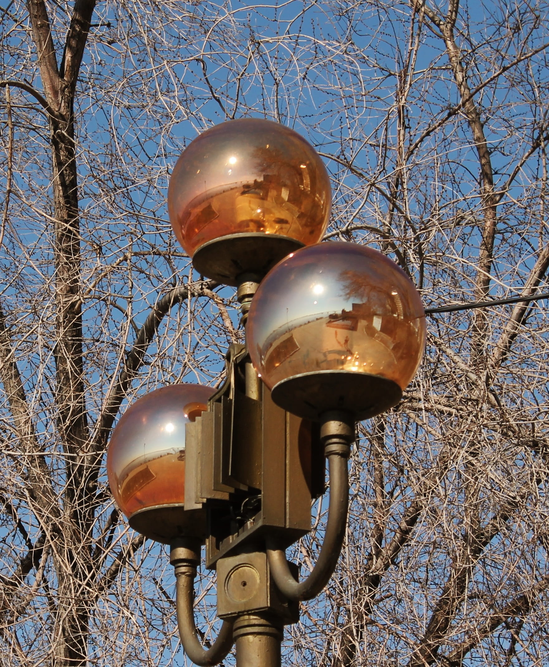 lantern, ball, light, low angle view, tree, lighting equipment