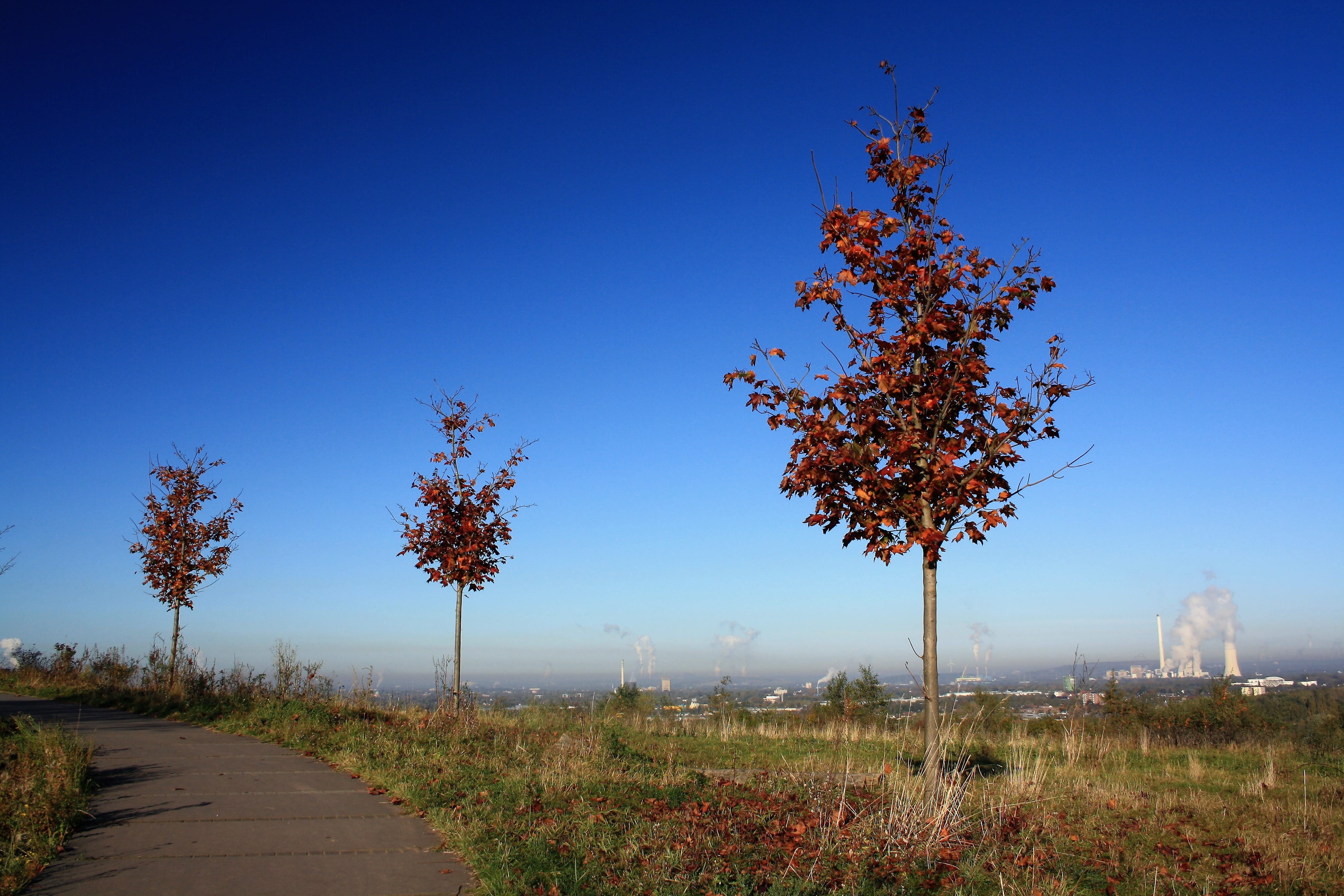 dump, distant view, trees, fall foliage, sky, blue, ruhr area