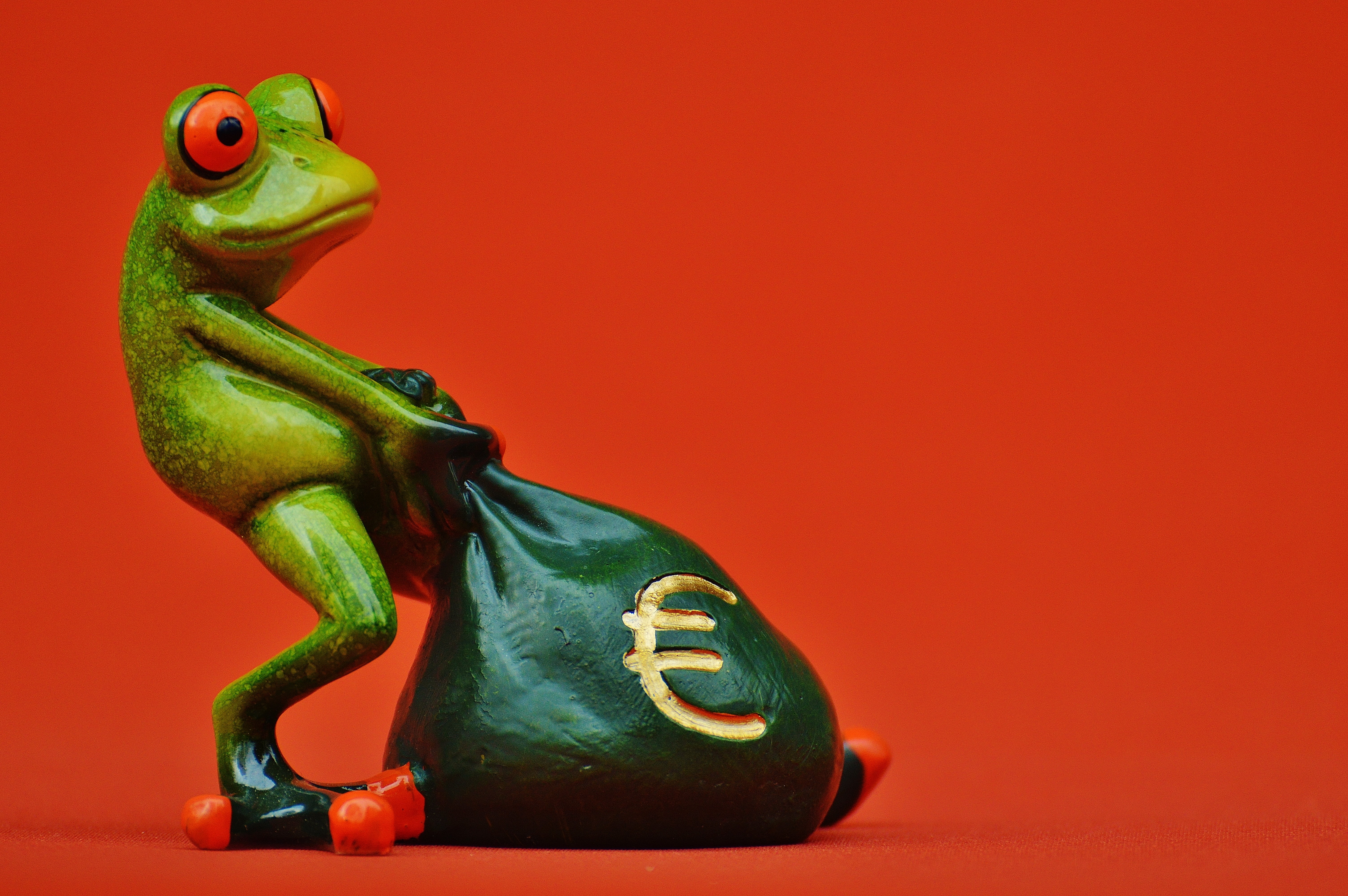 red-eyed tree frog pulling bag figurine, money, euro, money bag