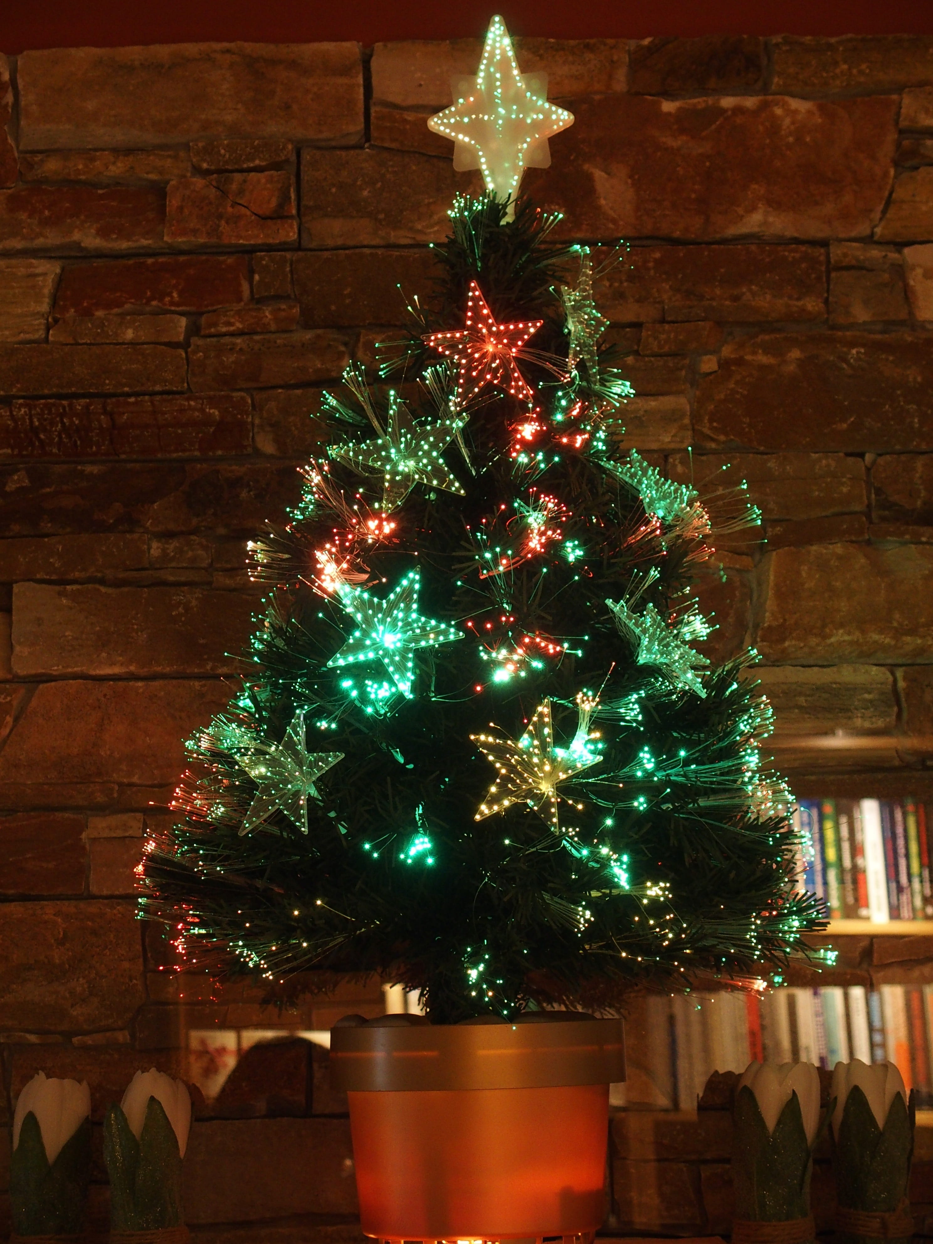 Christmas Tree, Sapling, Christmas, Tree, christmas time, light