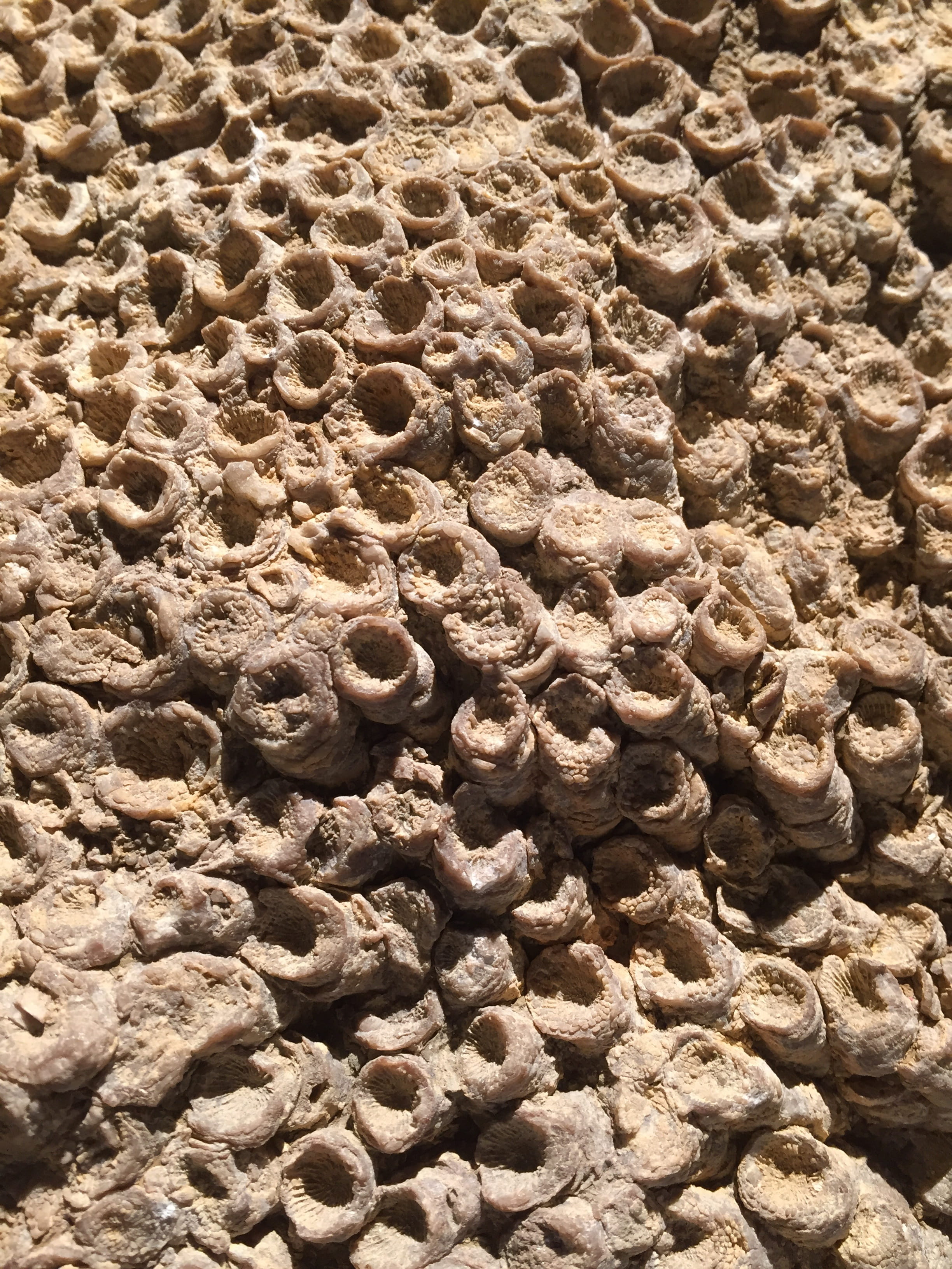 Ground, Old, Stone, Craters, Structure, pattern, backgrounds