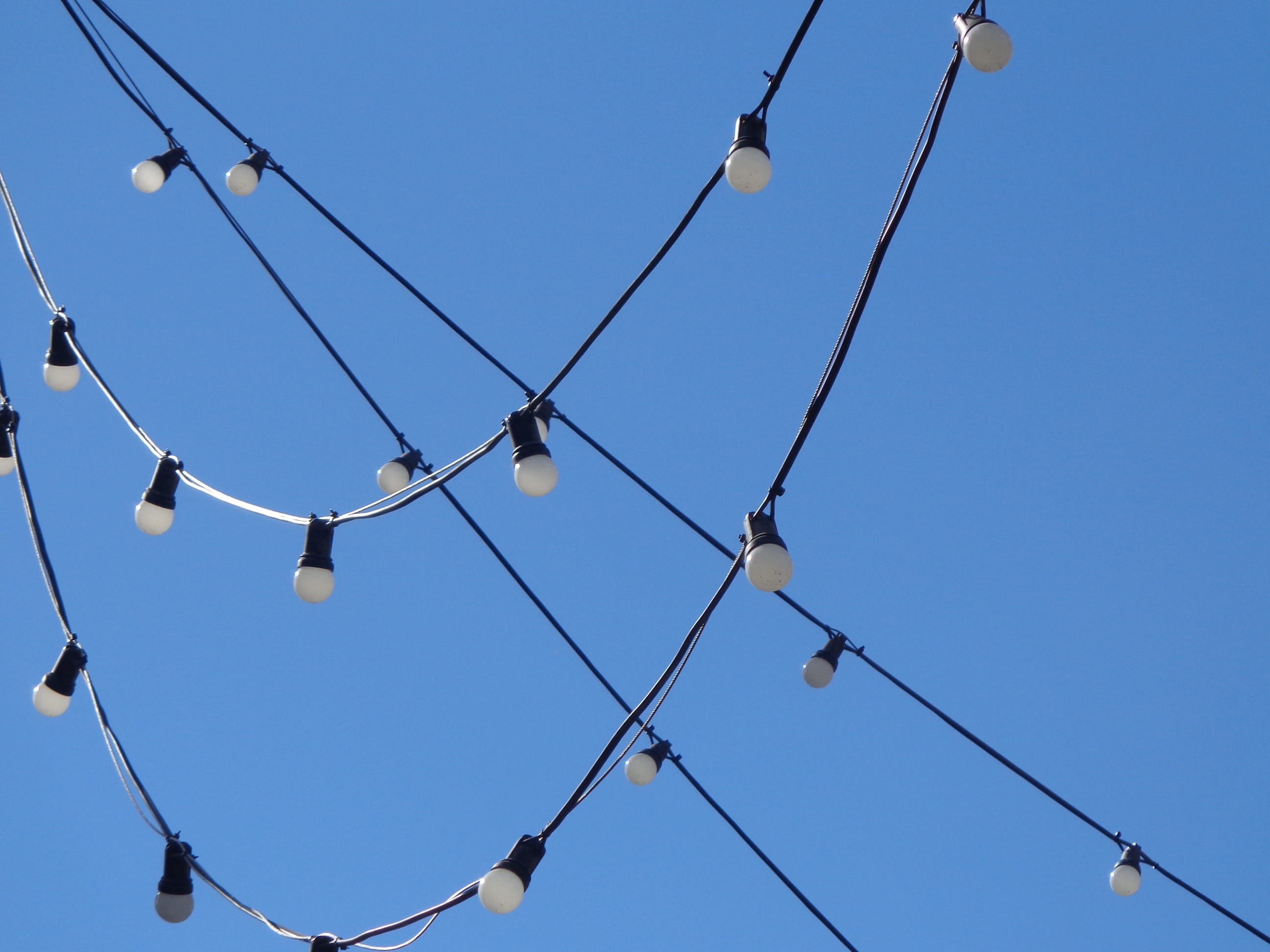 light bulbs, lighting, creative, sky, blue, clear sky, garlands