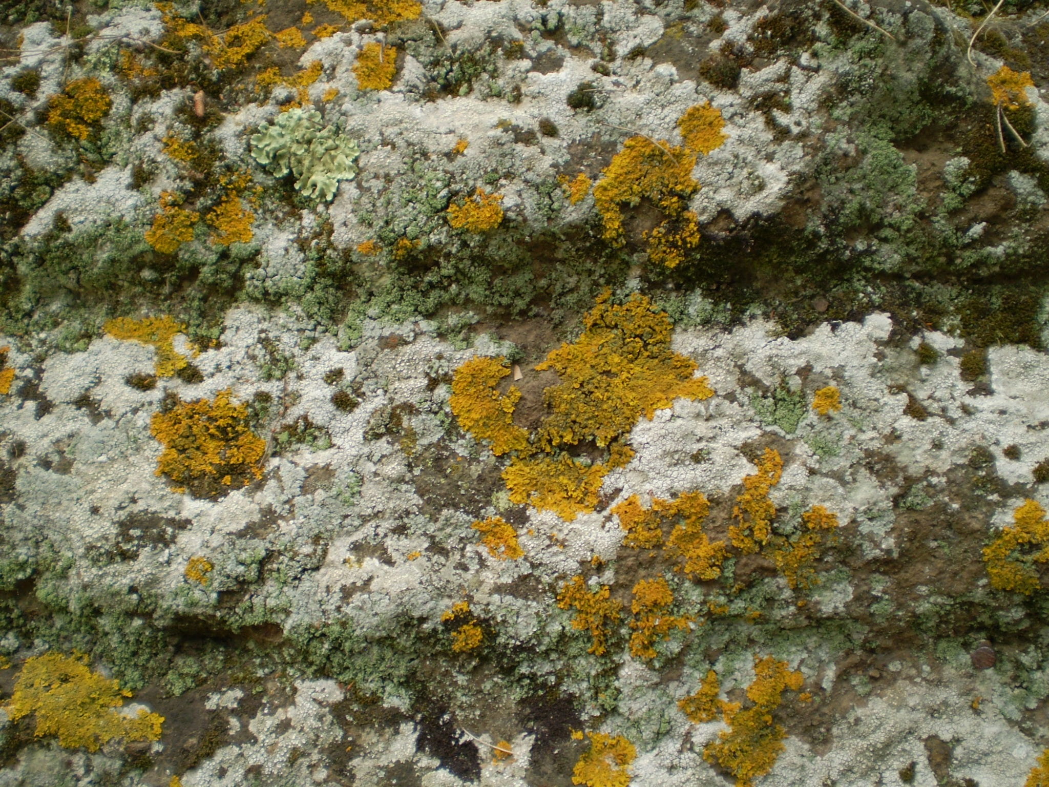 stone, structure, rock, background, texture, nature, surface