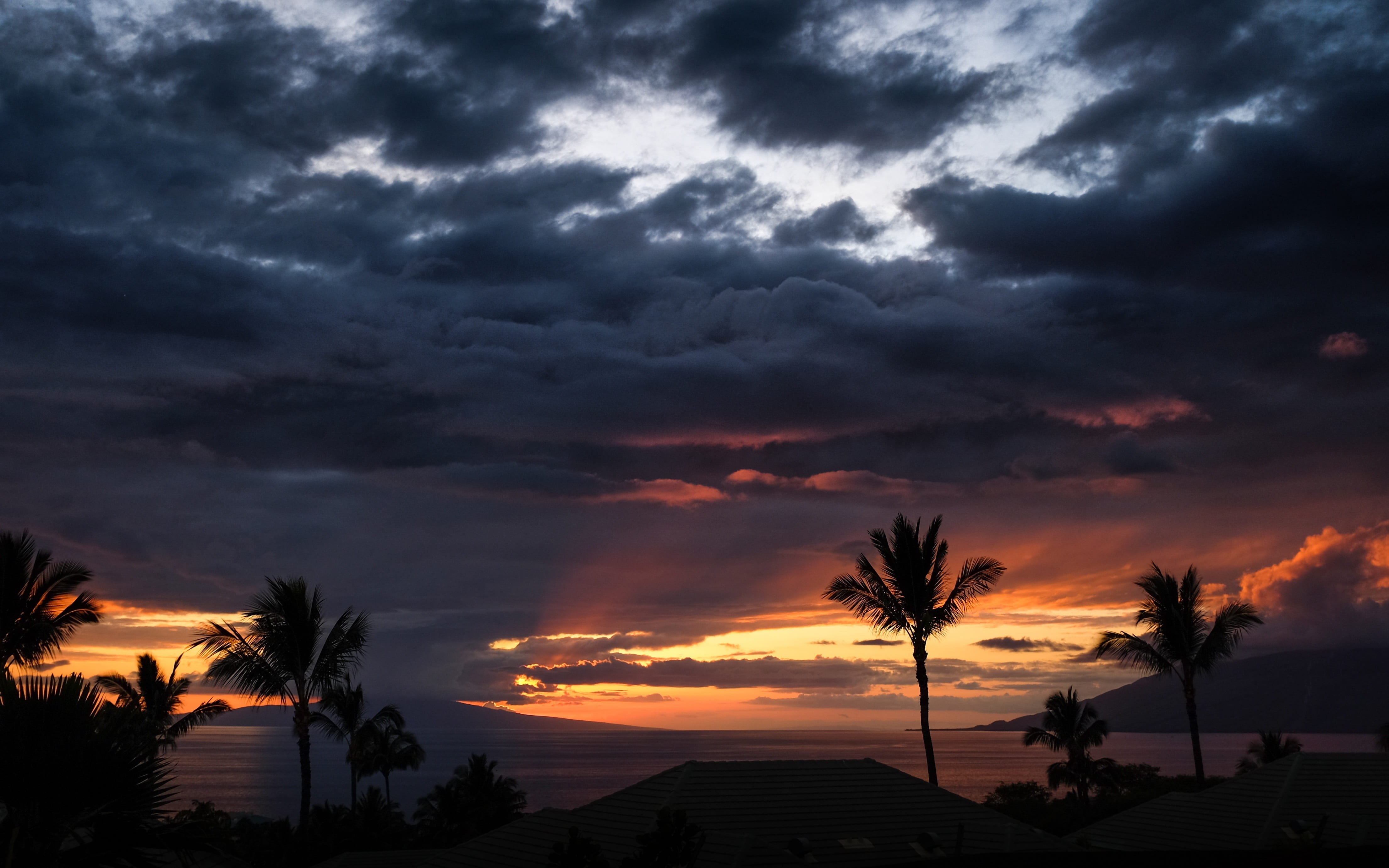 dark, sunset, clouds, sky, trees, nature, silhouette, light