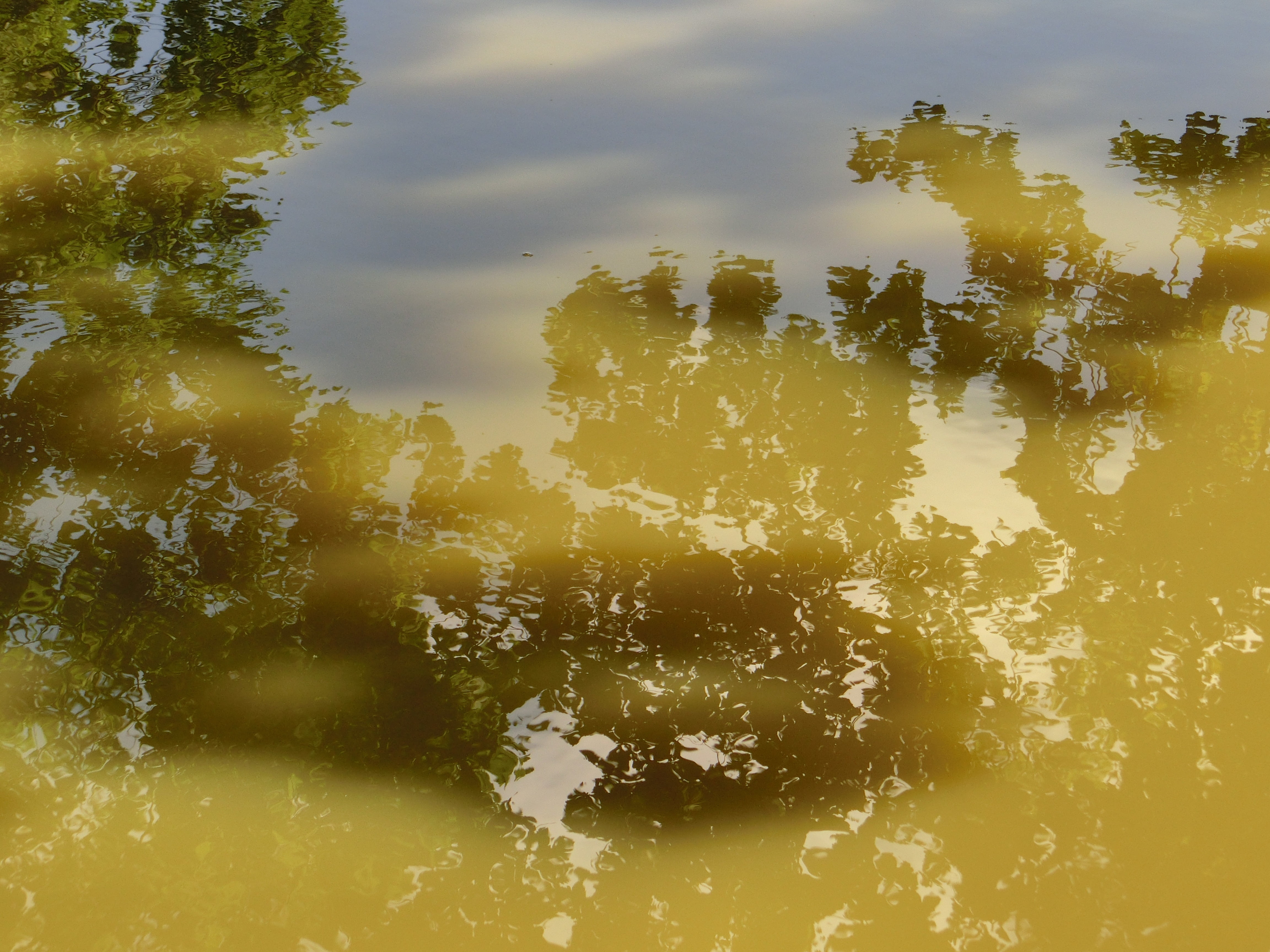 water, mirroring, clouds, reflections, water surface, river
