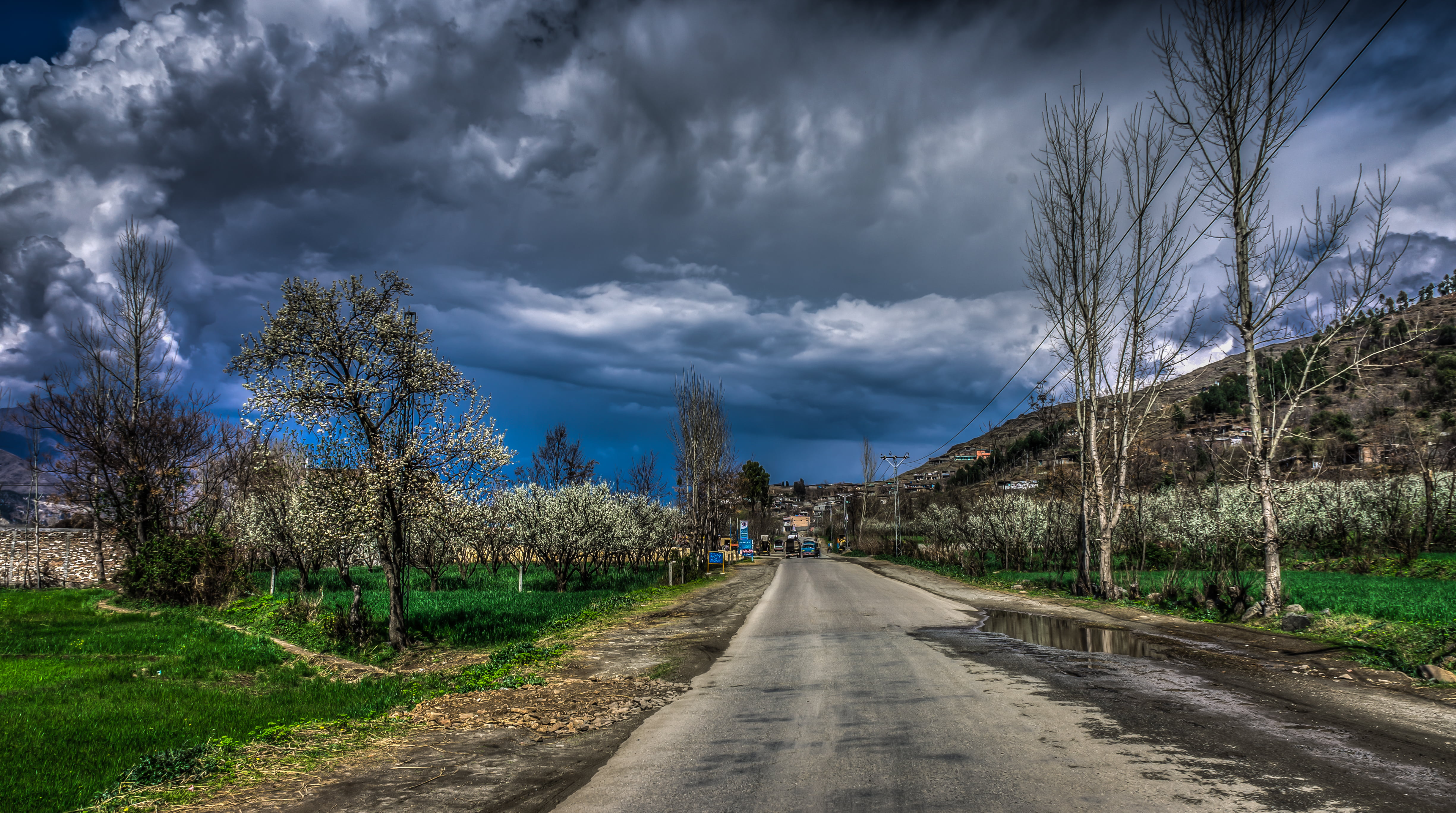 clouds, cloudy, grass, road, rural, sky, tree, direction, cloud - sky