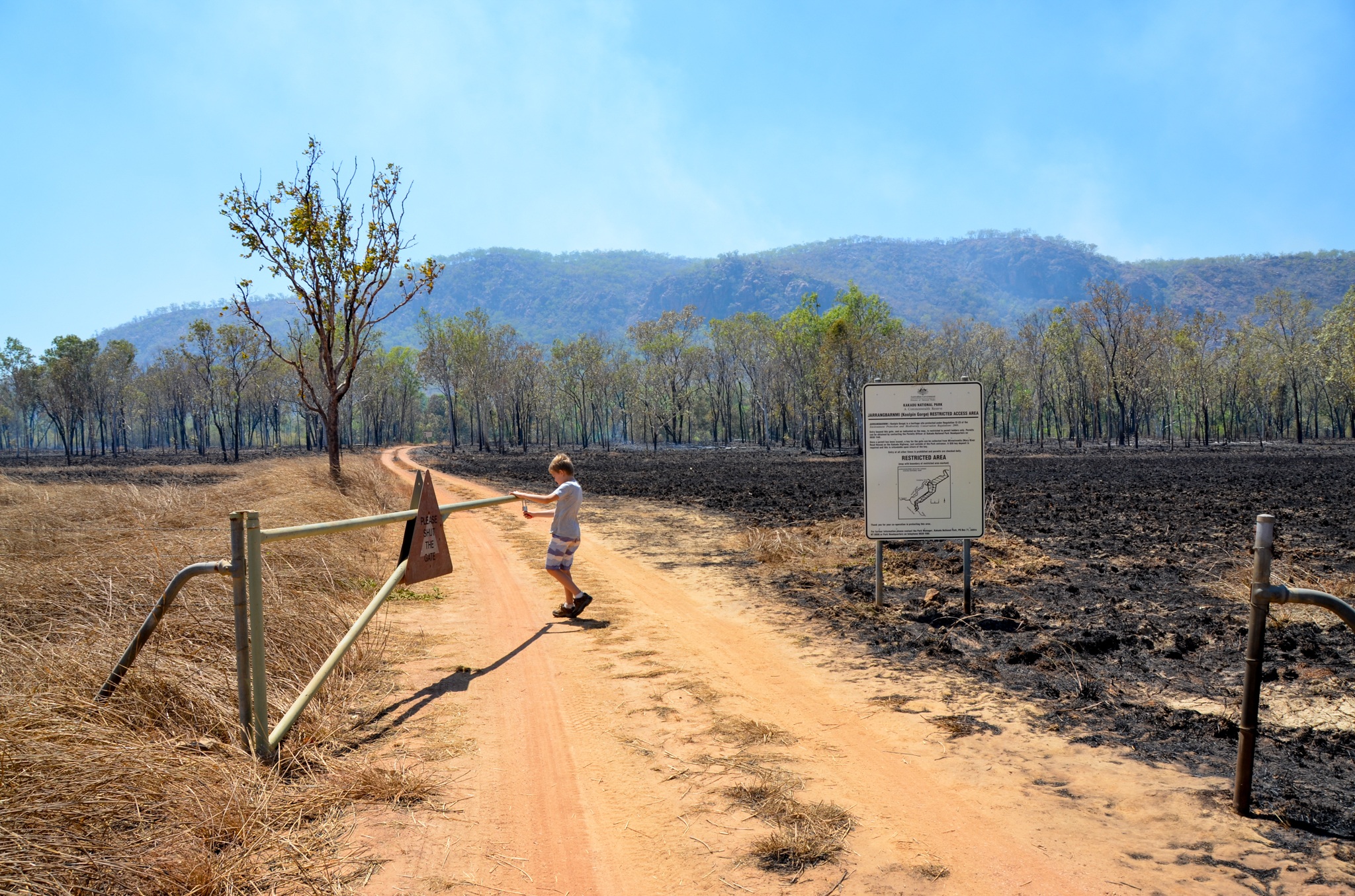 gate, burn off, fire, outback, open, sky, plant, day, tree