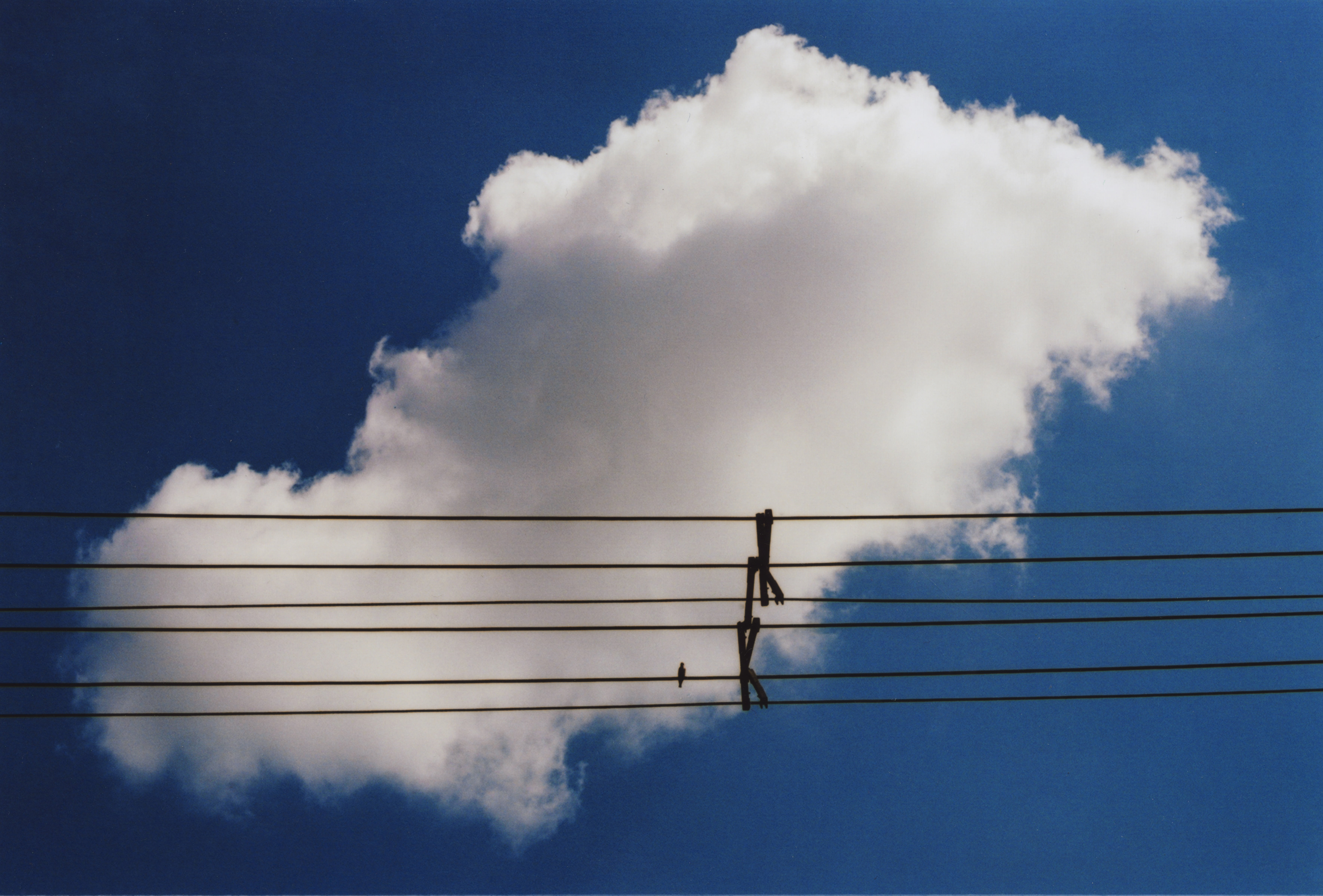 cloud, wire, sky, blue, cable, technology, network, internet