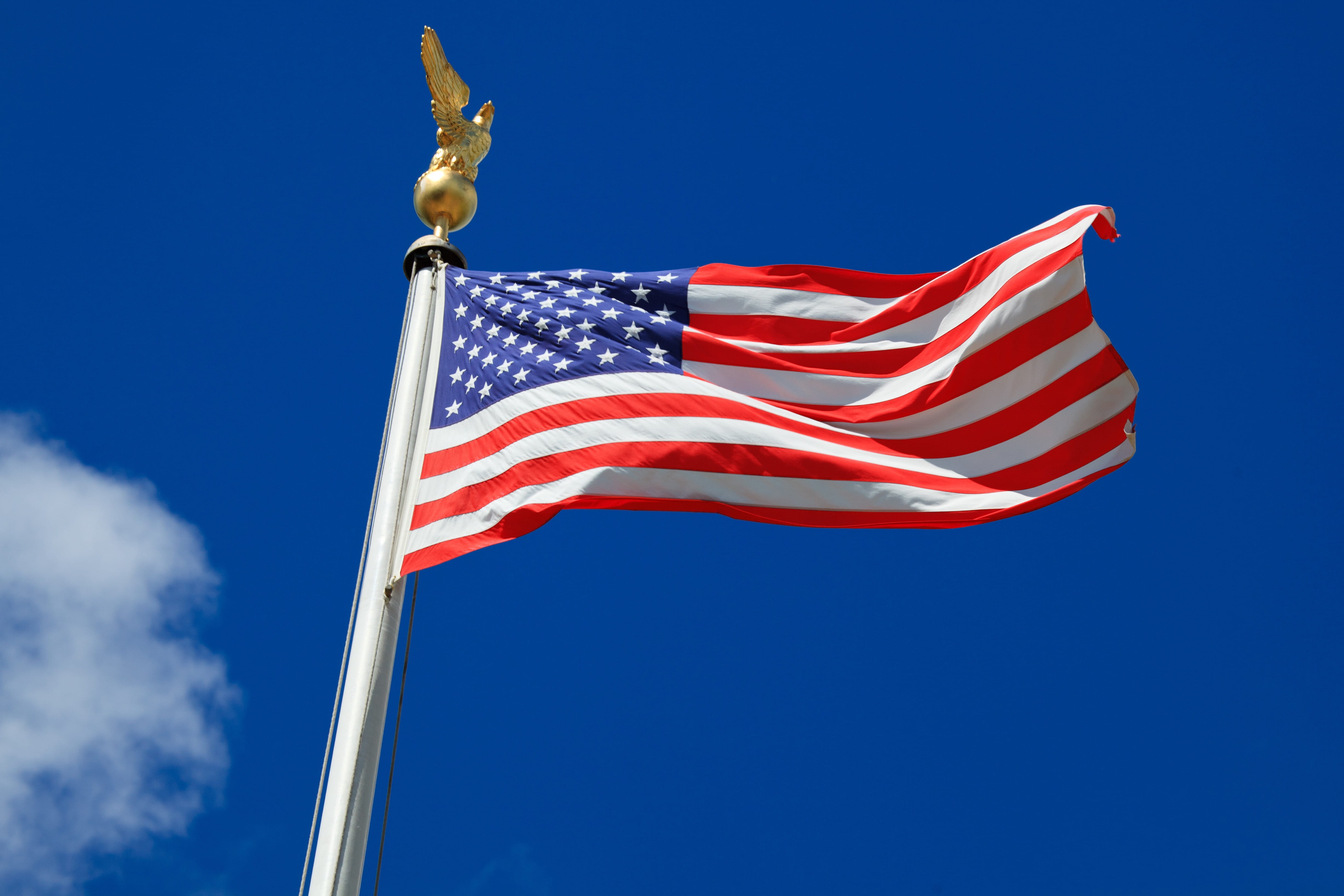 flag of USA, United States, America, july, american, blue, country