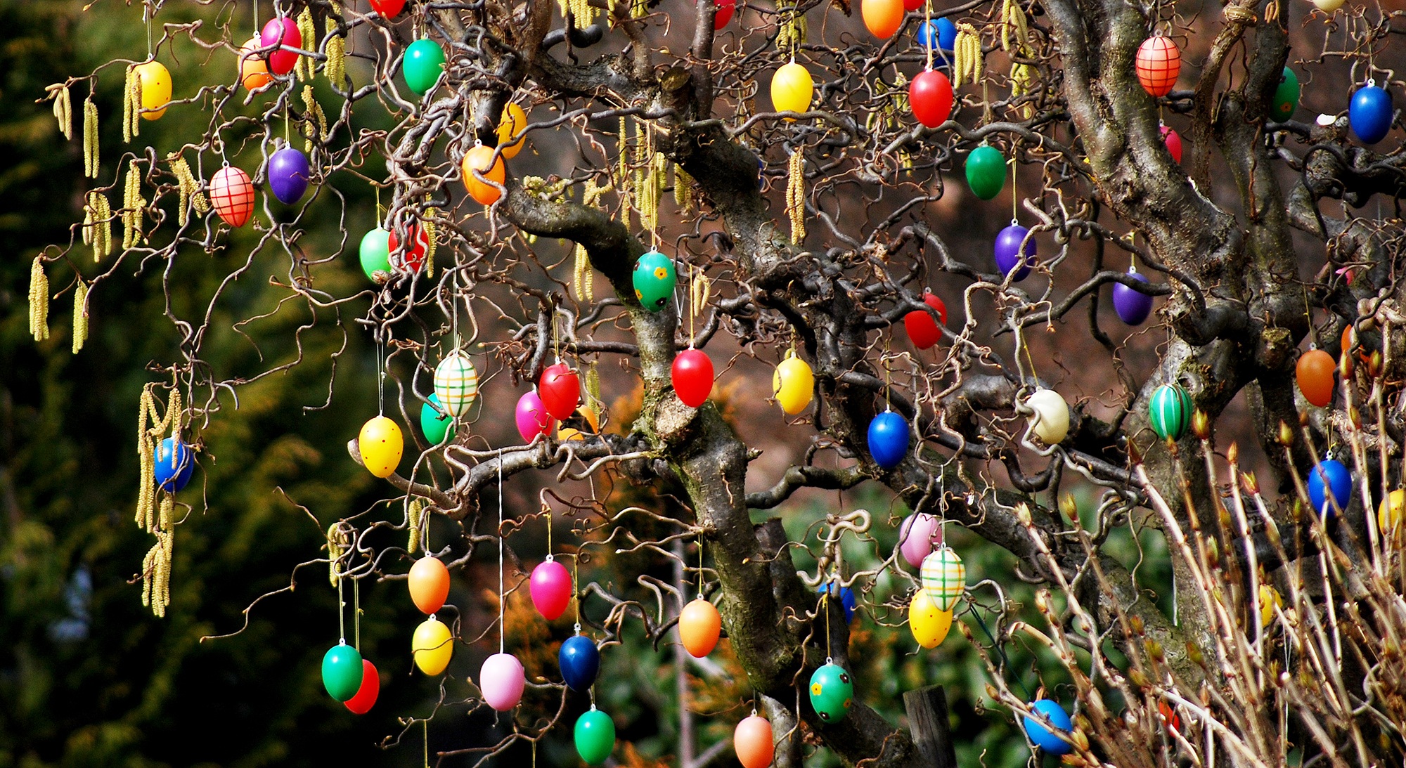 easter, bush, garden, easter eggs on tree, easter decorations