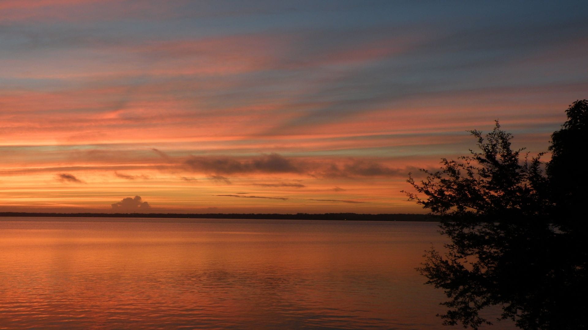 sunrise, clouds, river, water, tree, sunset, sky, cloud - sky