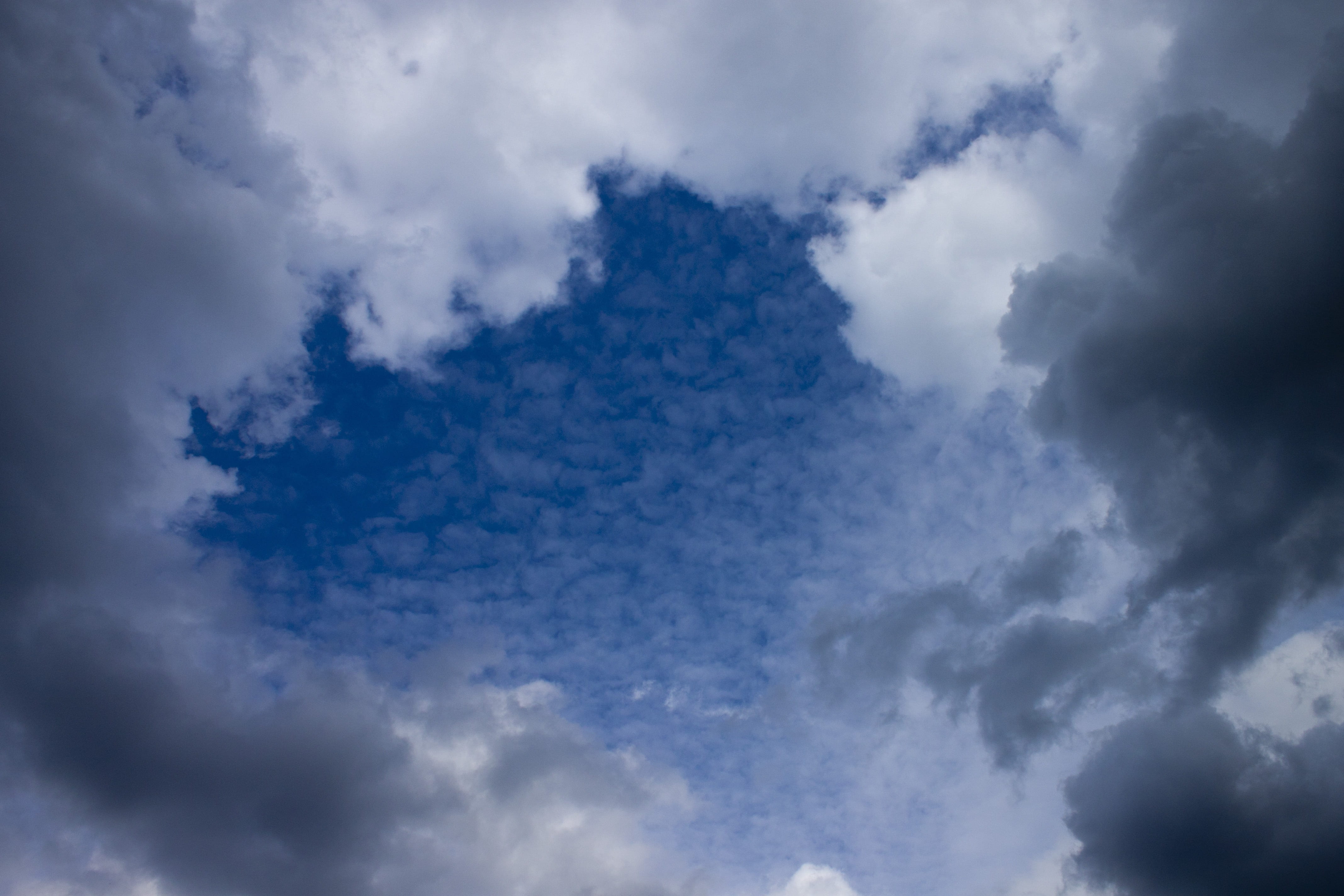 cloud, sky, blue, cloudscape, summer clouds, cloudiness, cloud - sky