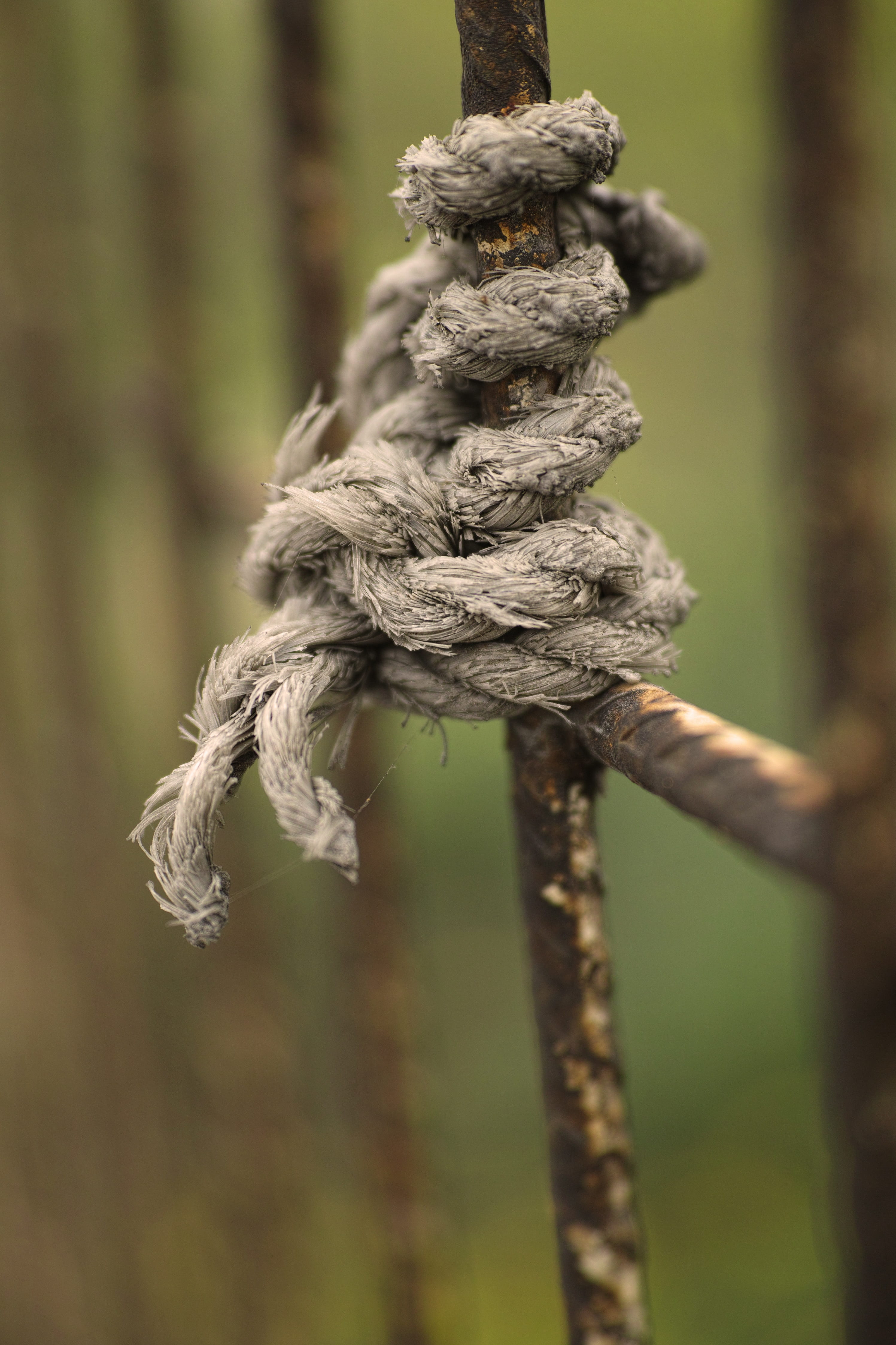 rope, grey, daniel, macro, rusty, abstract, solid, connect