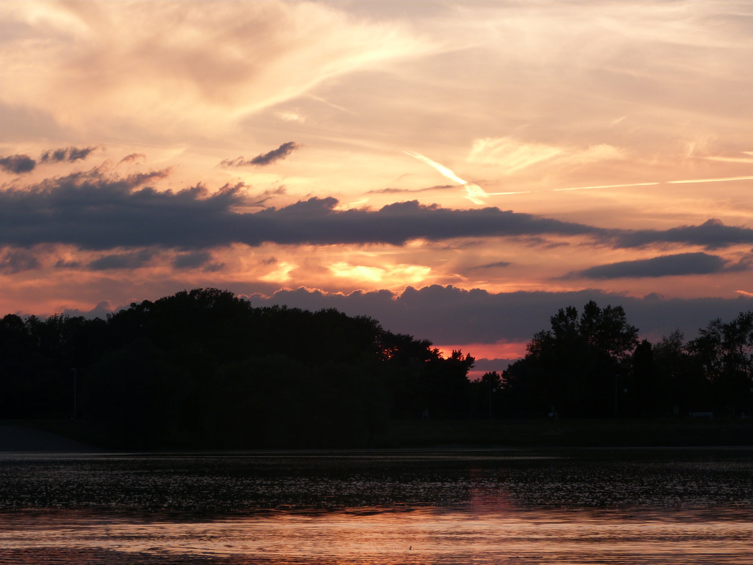 dramatic, colors, sunset, dark, light, sky, tree, cloud - sky