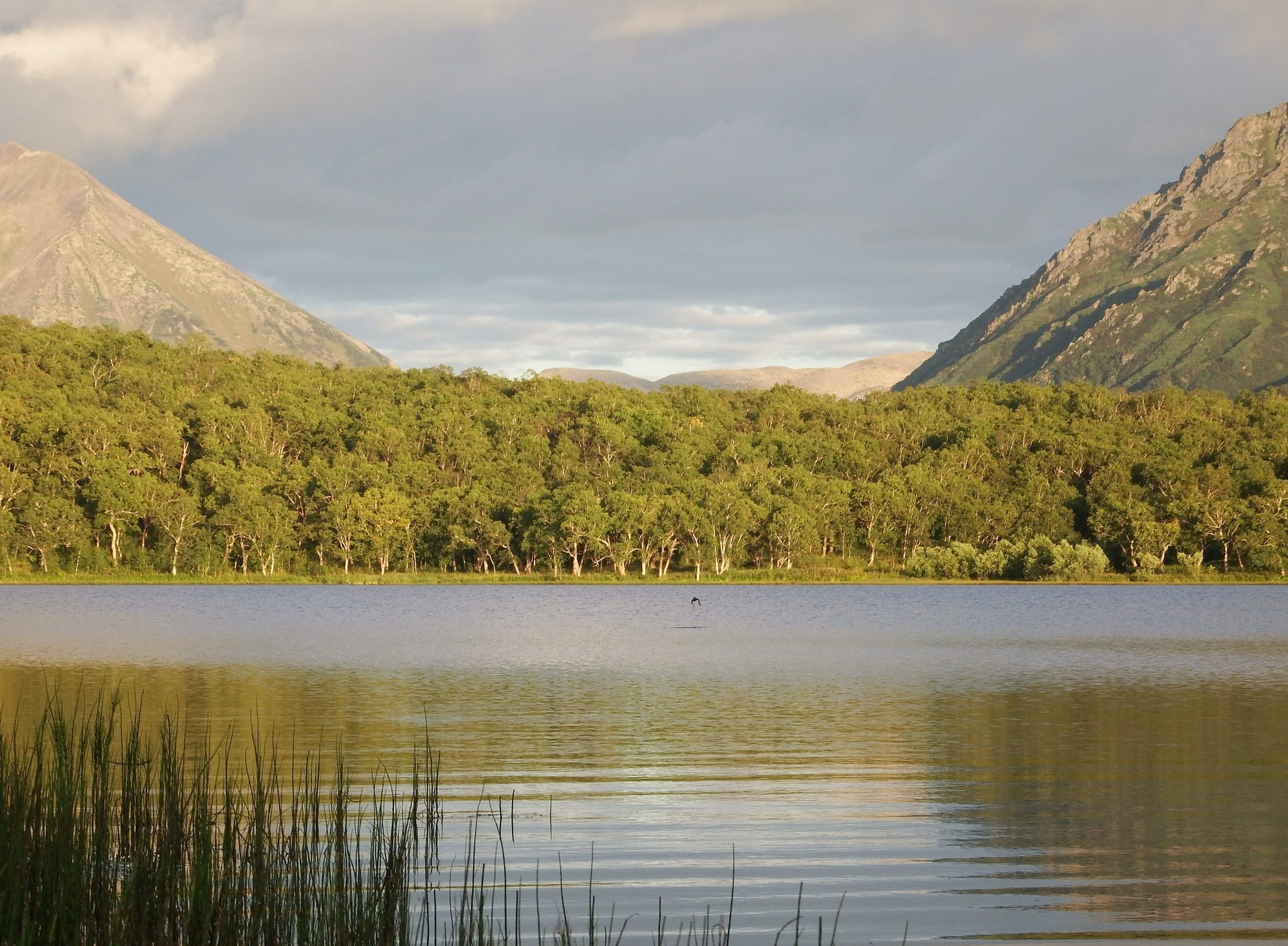 lake, mountains, forest, reflection, clouds, sky, beach, evening