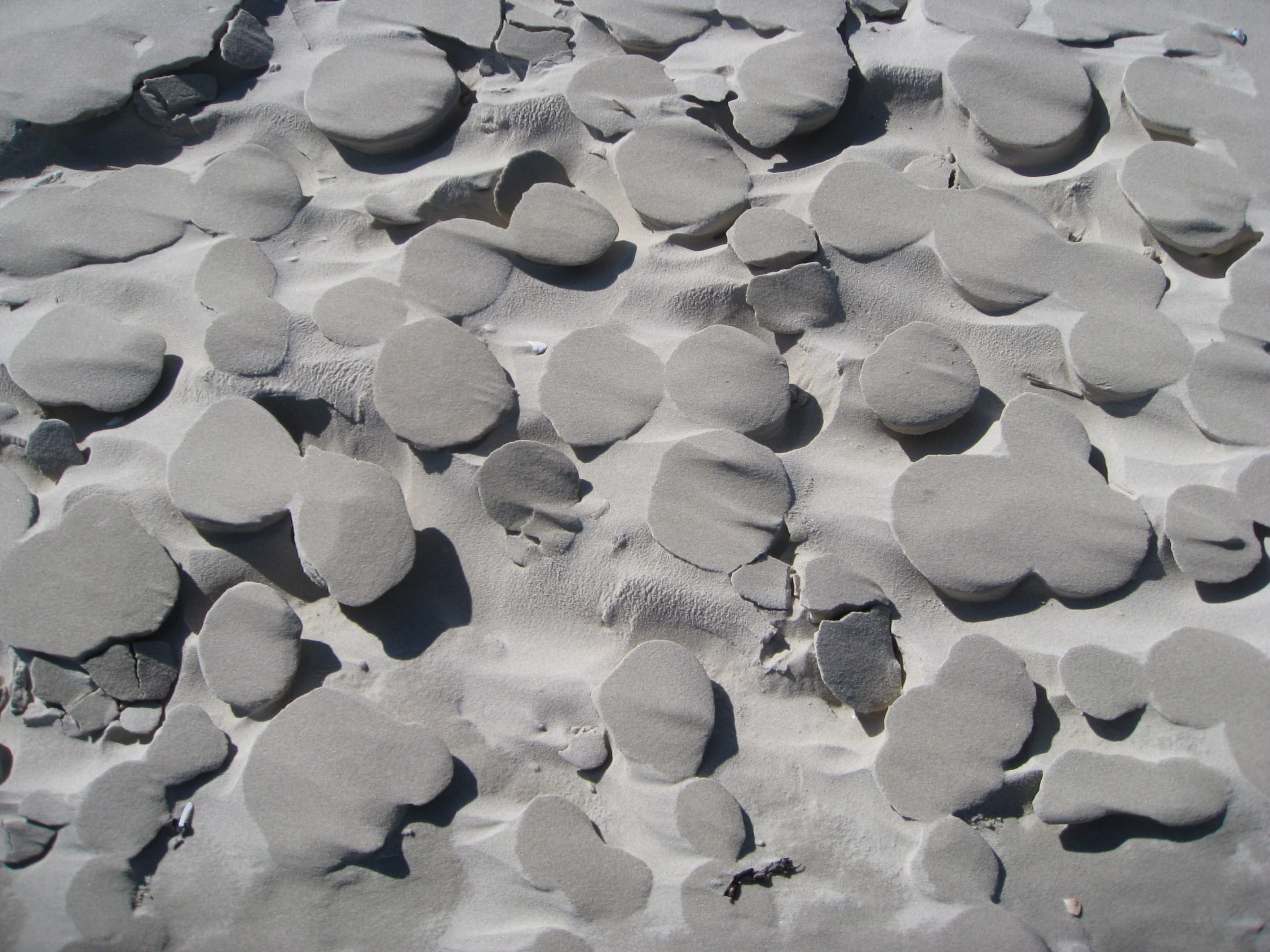 background, pattern, nature, surface, sand, wind, form, full frame