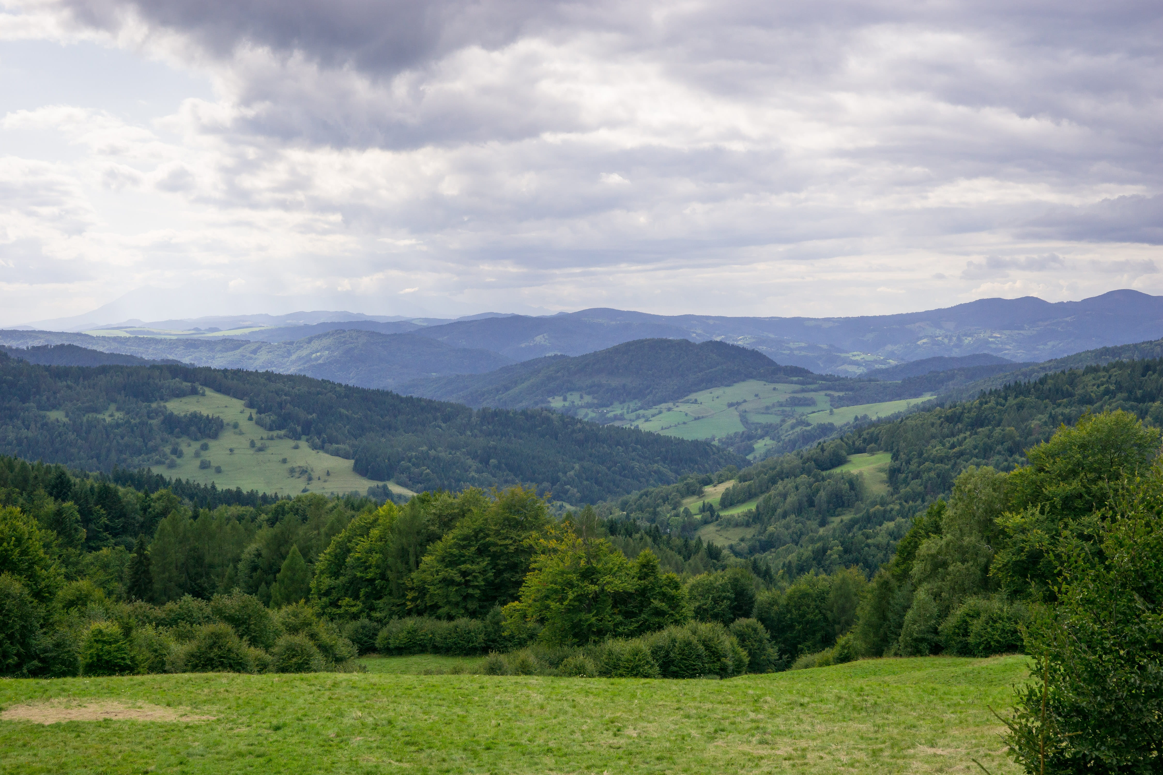 mountains, view, clouds, cloud cover, forest, summer, landscape