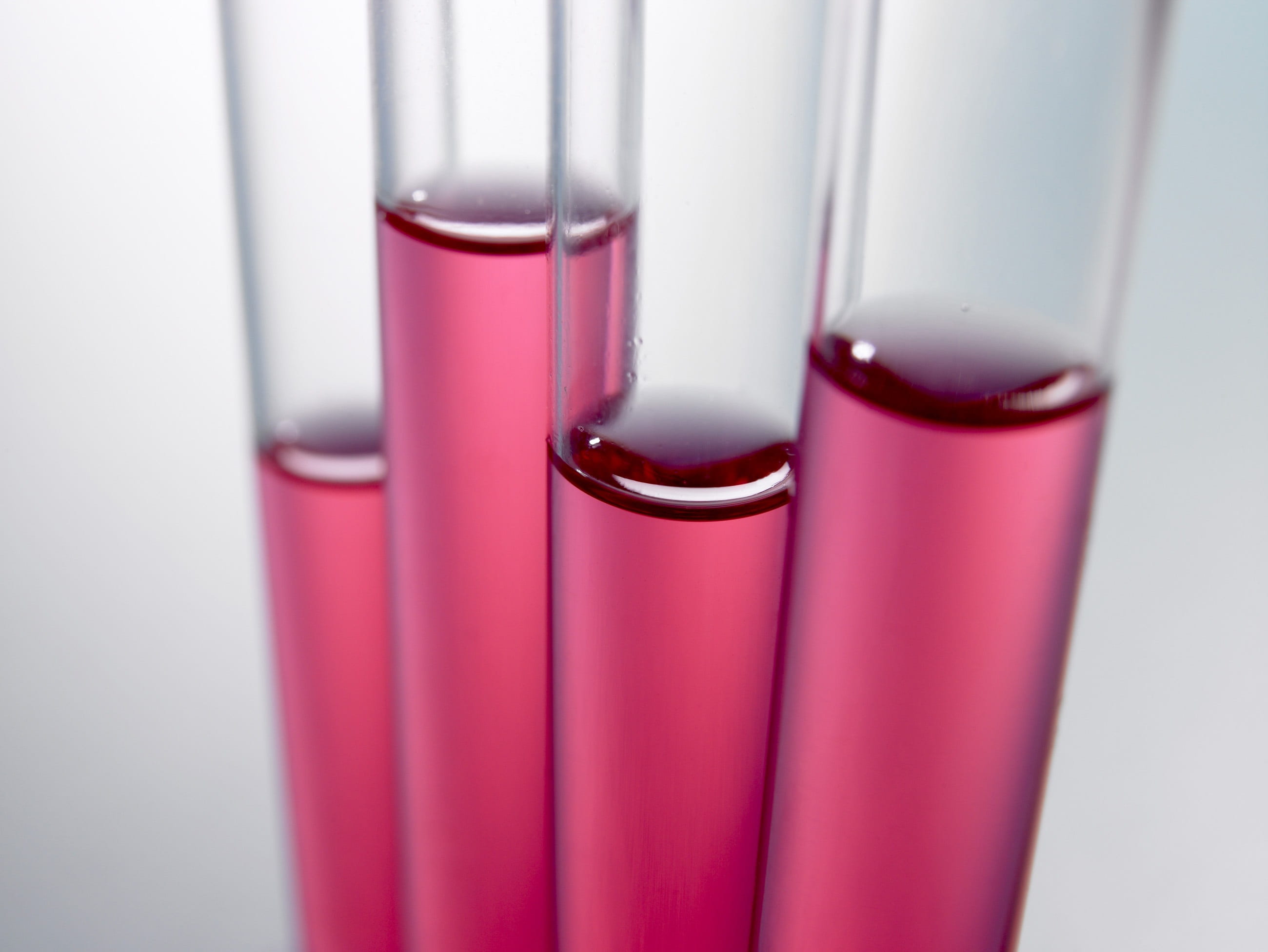 Free download | HD wallpaper: four clear vials with pink liquids, test