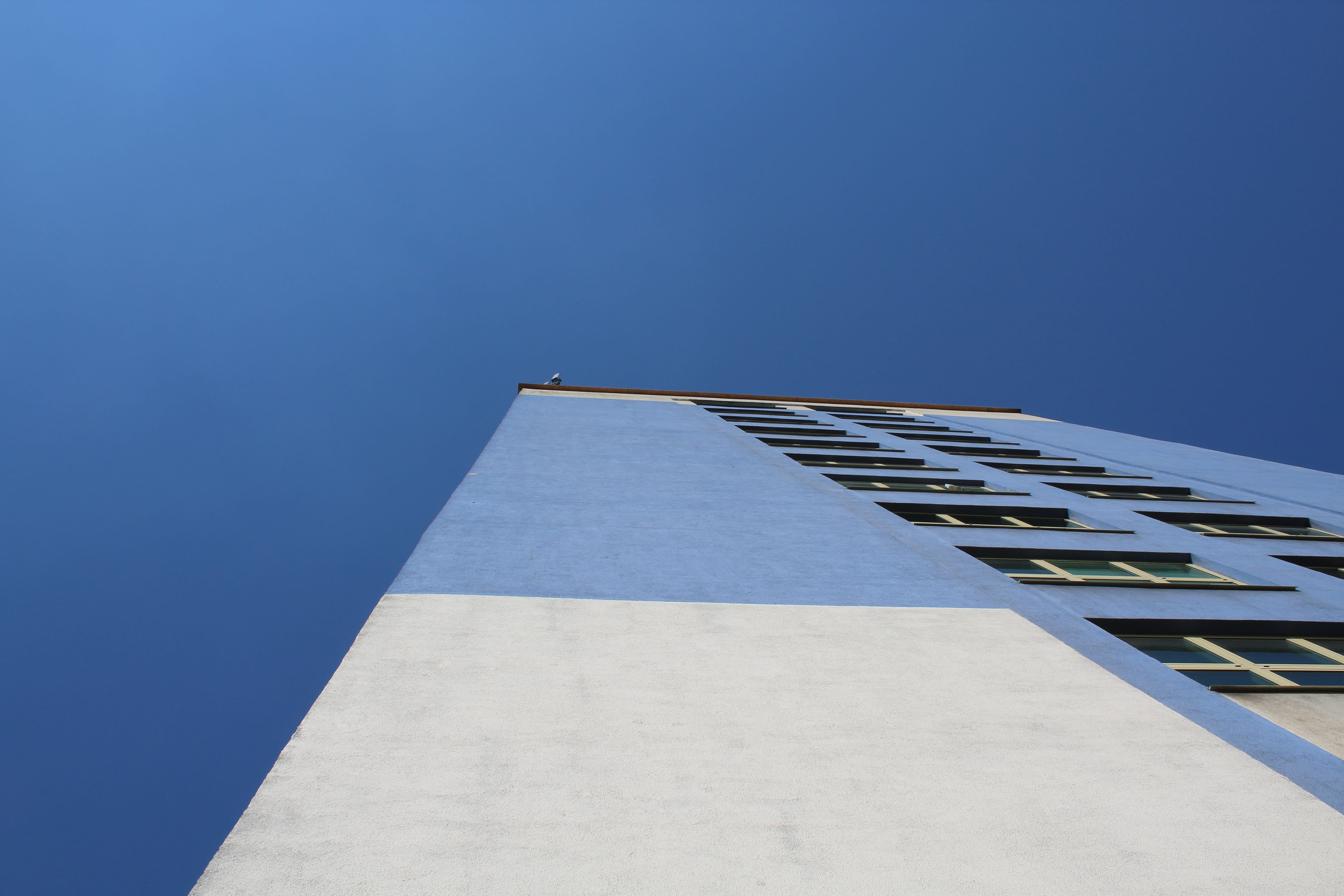 wall, building, office building, intervention, blue, architecture