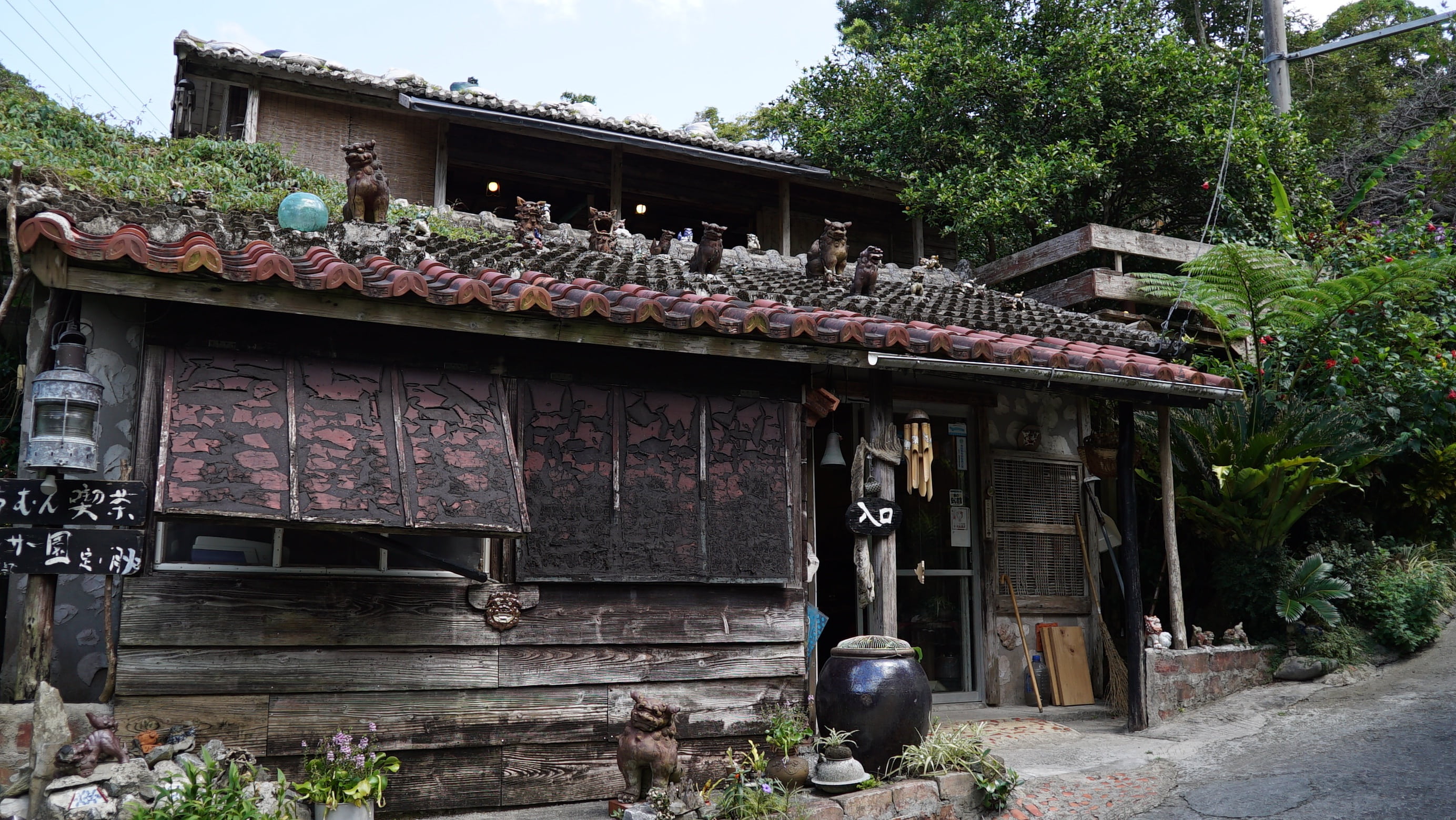 okinawa, cafe, zenzai, architecture, plant, built structure