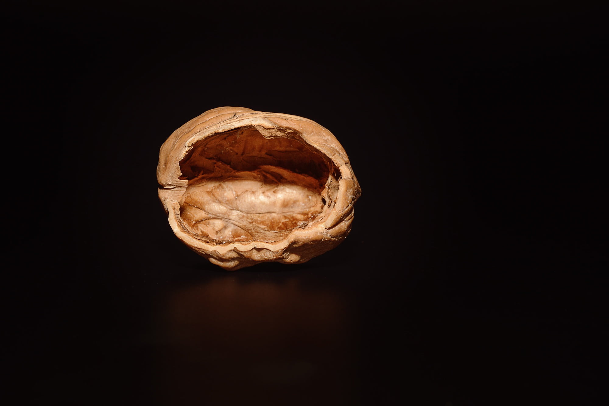 walnut, empty, open, empty walnut, close, studio shot, black background