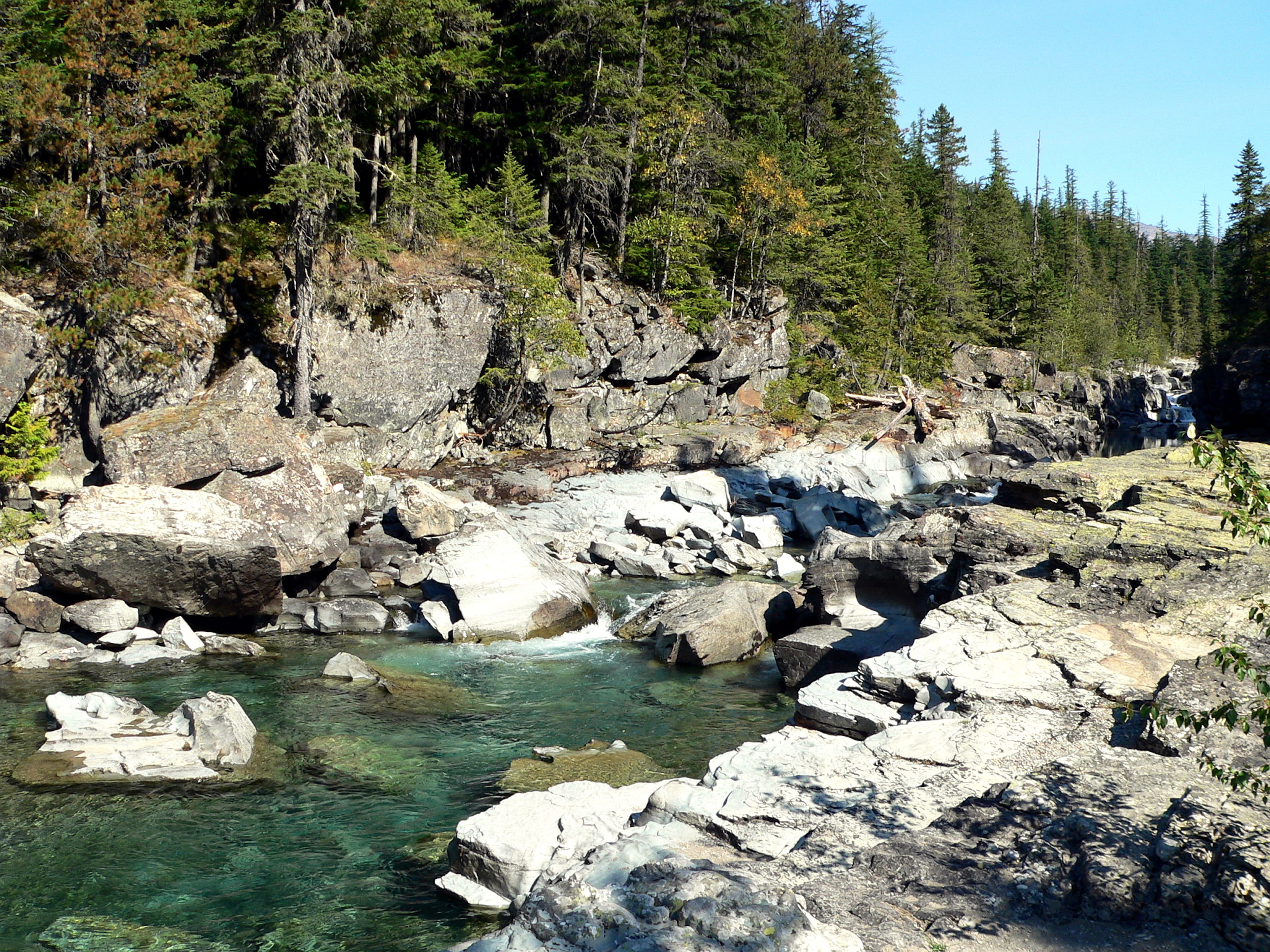 montana, stream, tree, spring, america, nature, forest, trees