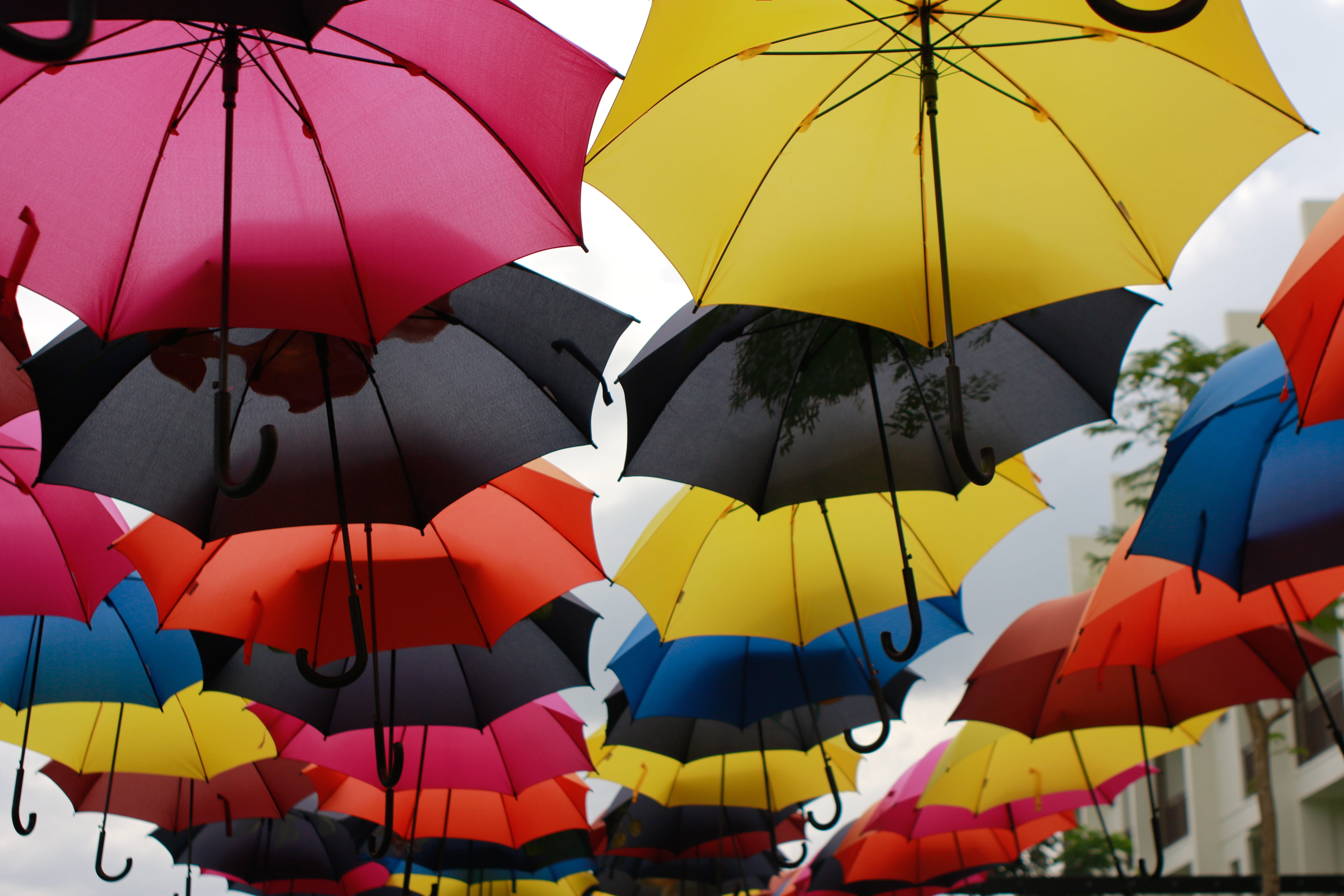 umbrella, colorful, umbrellas, multi colored, protection, security