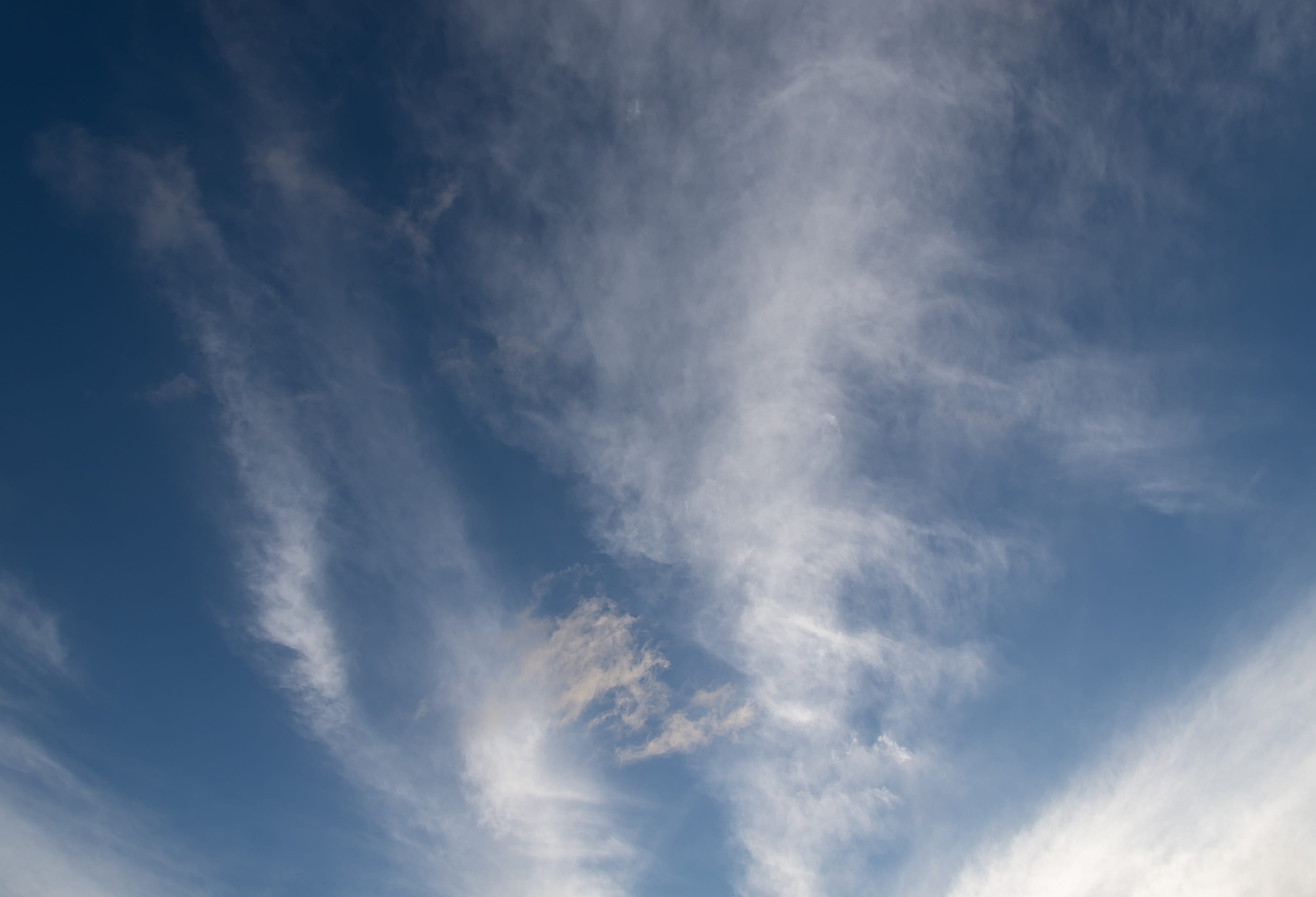 clouds, white, blue, fluffy, delicate, pattern, sky, cloud - sky