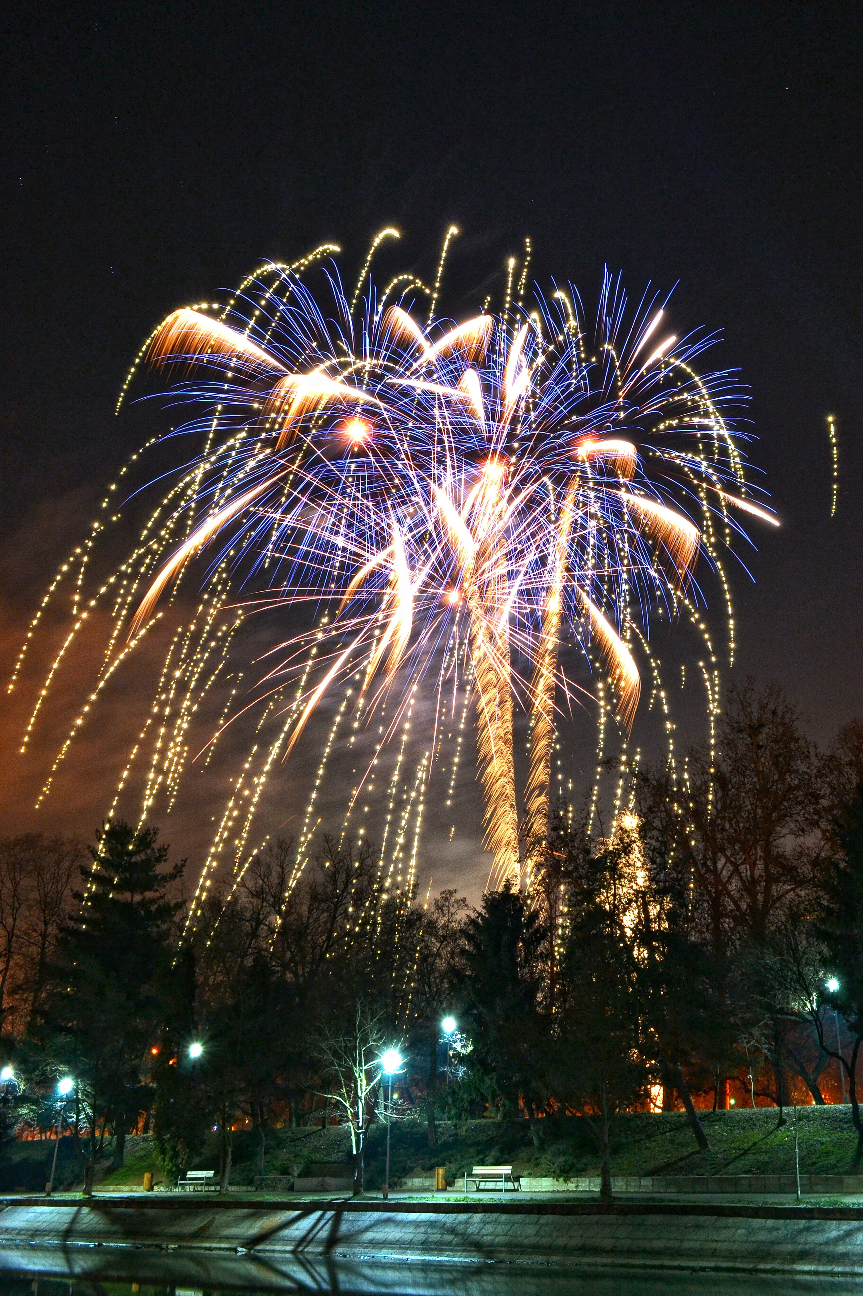 fireworks, night, lights, illuminated, firework display, celebration