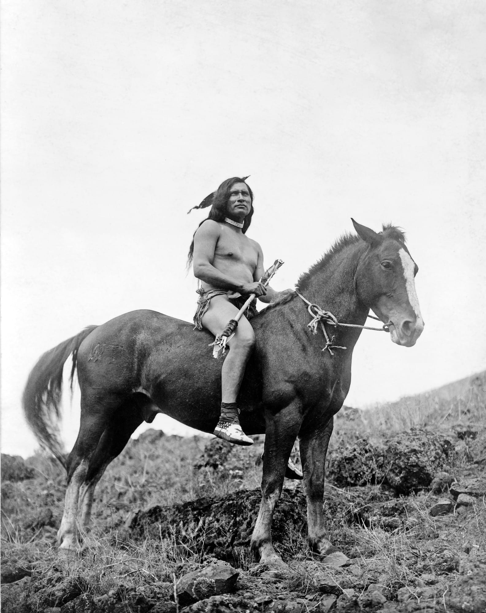 grayscale photo of man riding horse, indians, warrior, reiter