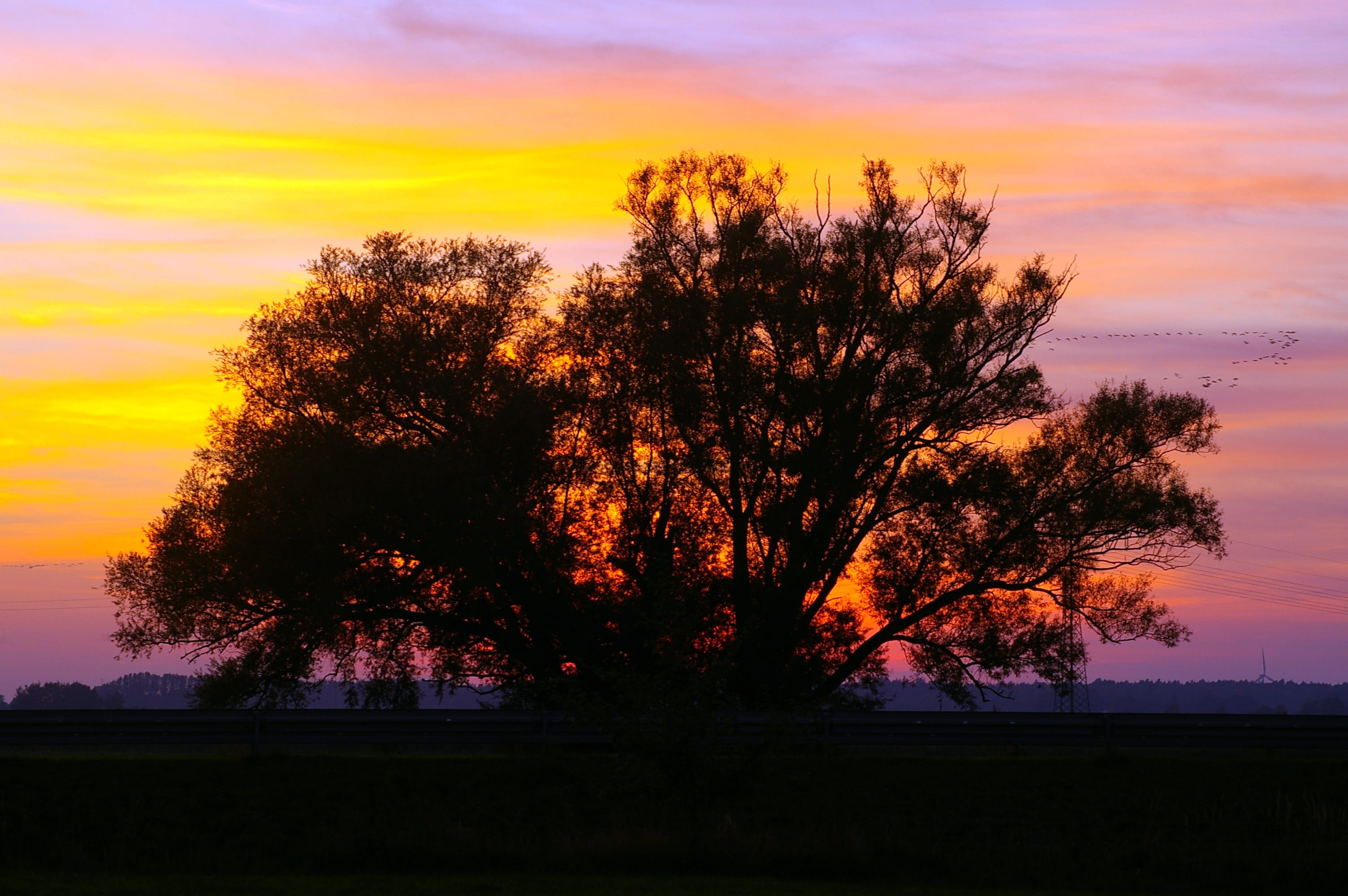 Sunset, Evening, Clouds, Silhouette, sky, landscape, dusk, tree