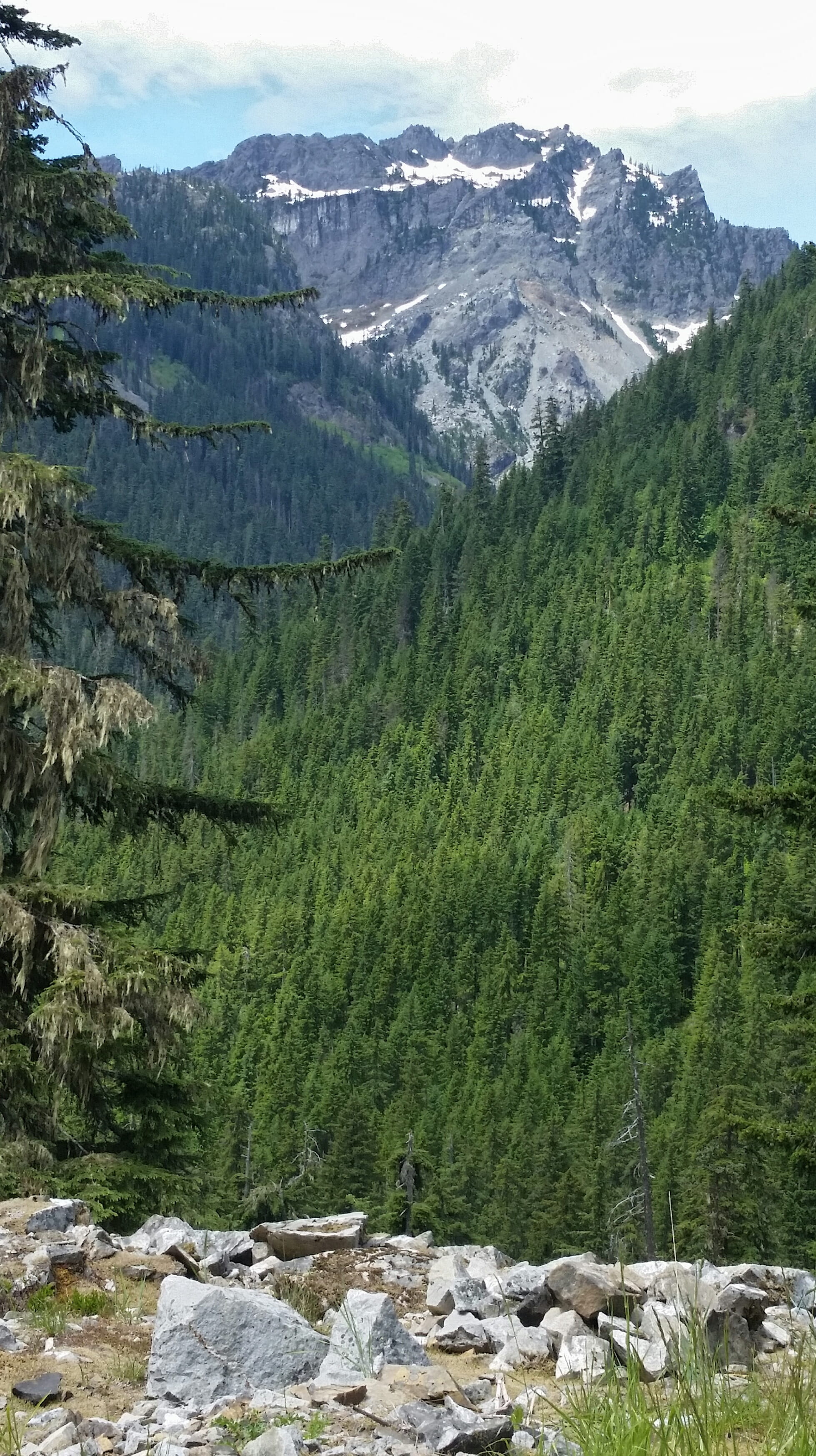Mountain, Snow Peak, pine tree, day, mountain range, forest