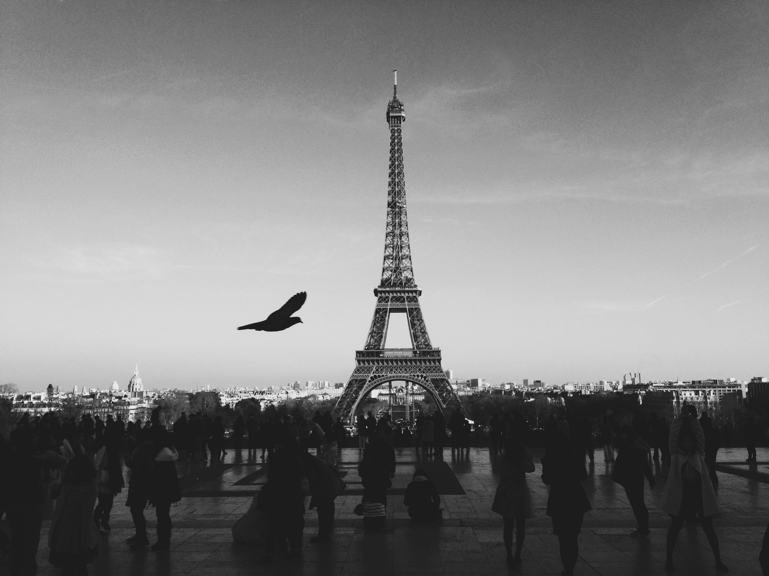 grayscale photo of crowd of people near Eiffel tower, paris, france