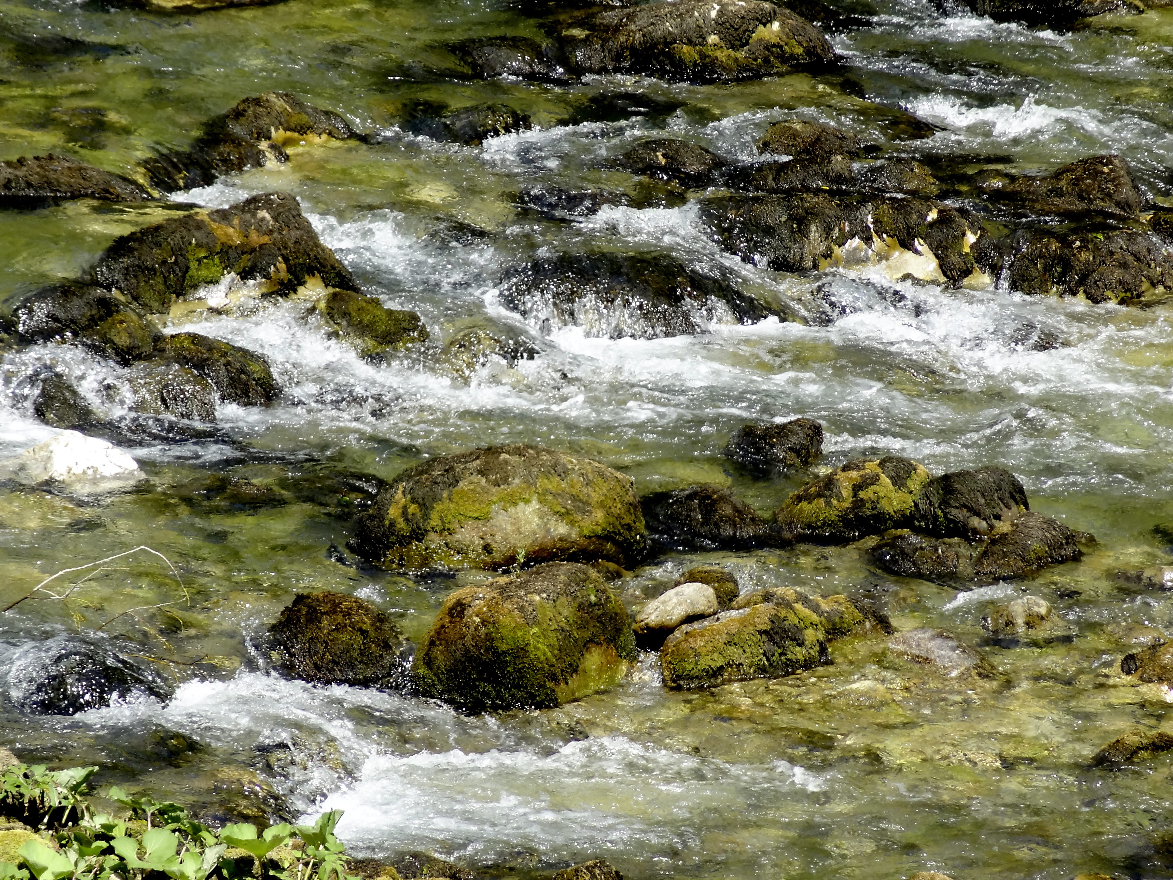 Water, Stream, River, Nature, Flow, green, rock, wild, park