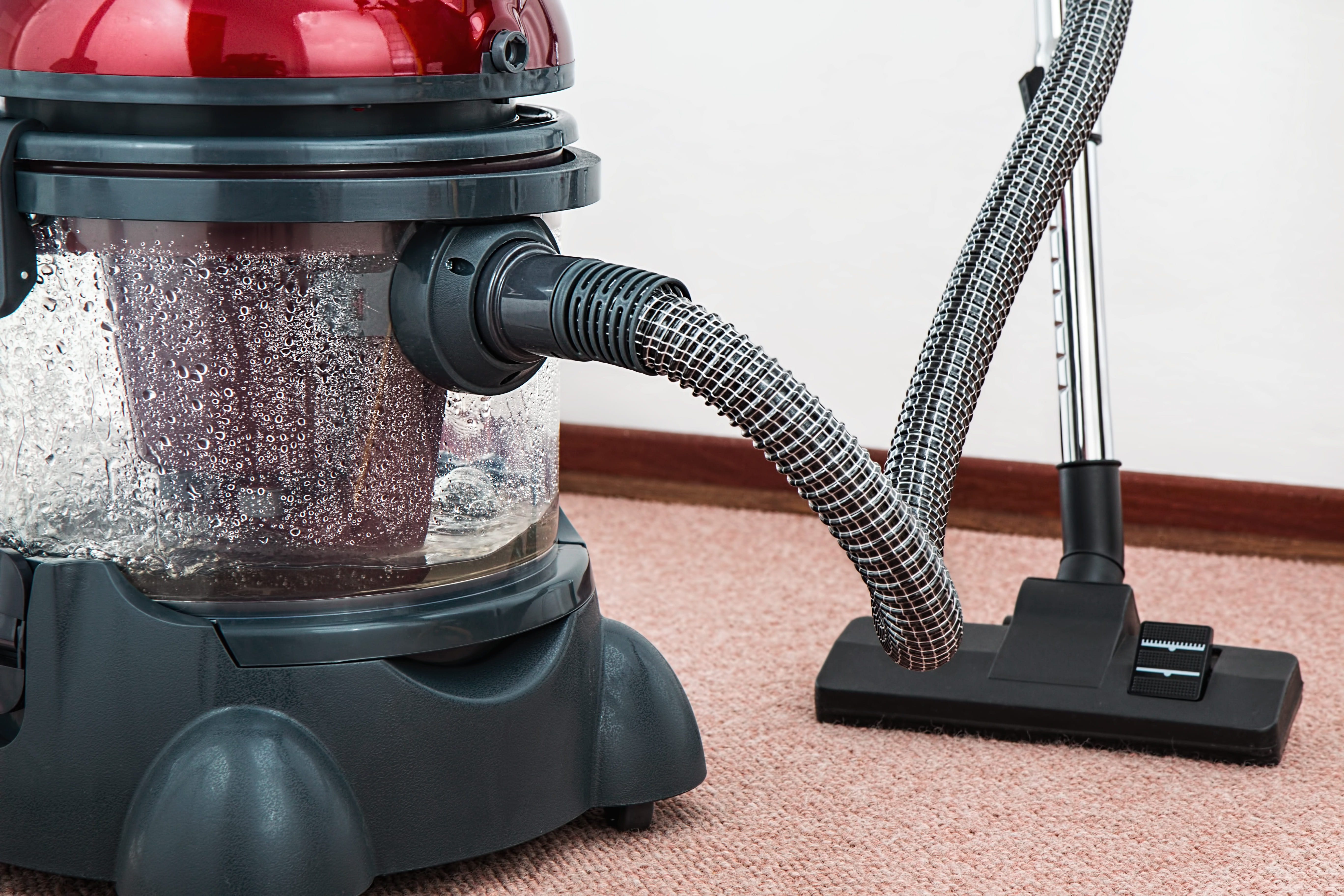 red and black wet/dry vacuum cleaner, carpet cleaner, housework