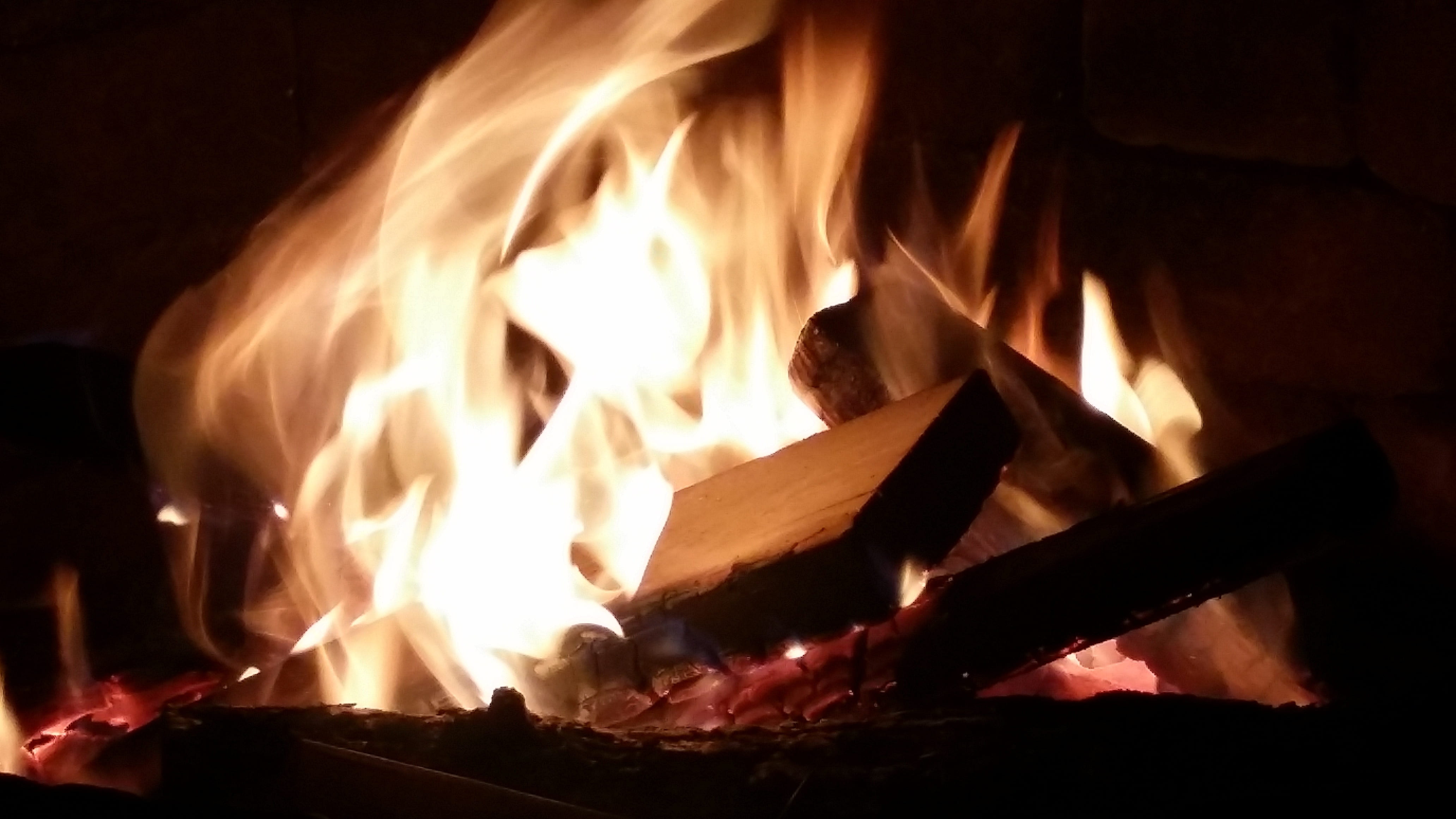 fire, bonfire, firepit, burning, flame, fire - natural phenomenon