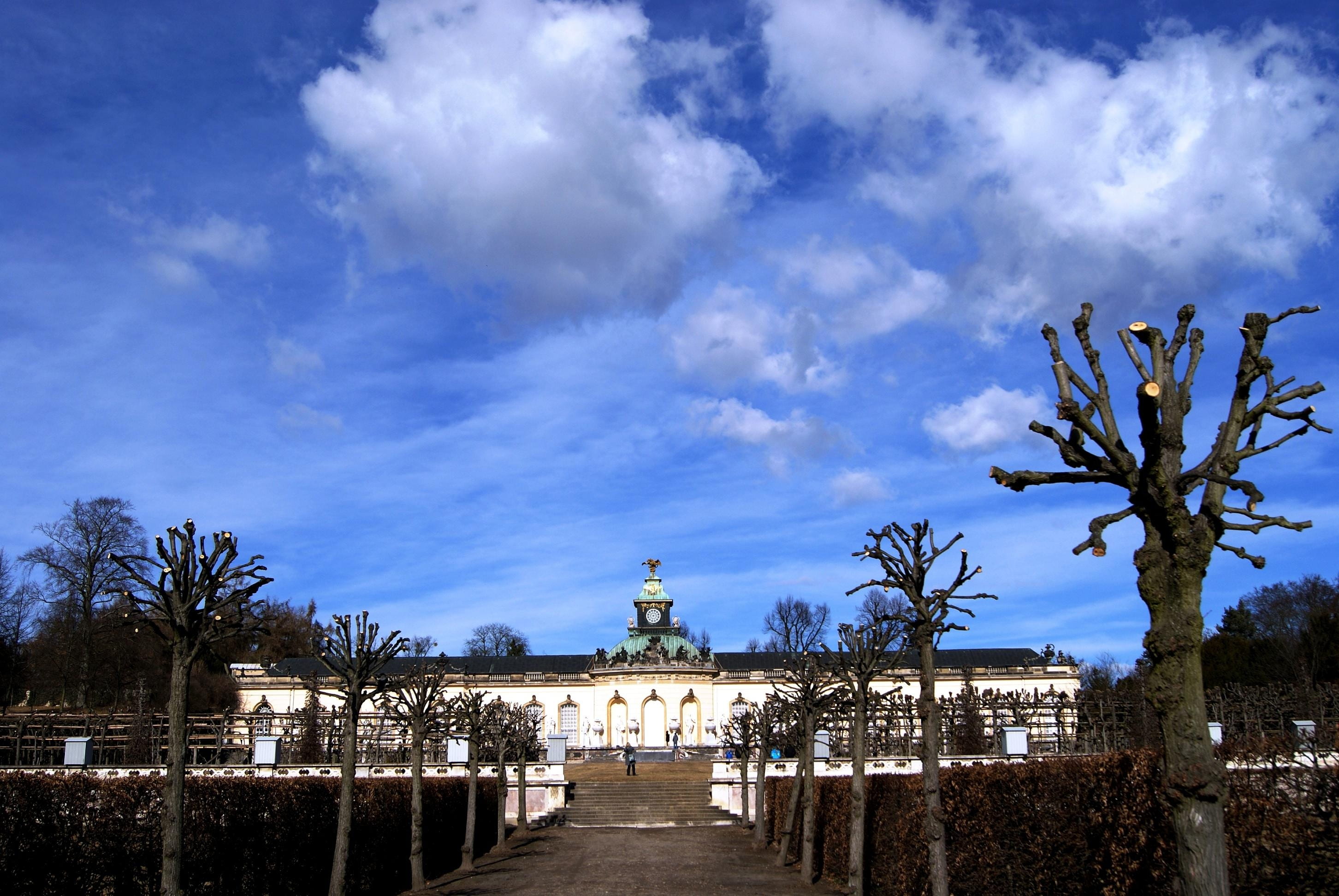 sky, clouds, castle, blue, cloud - sky, tree, architecture