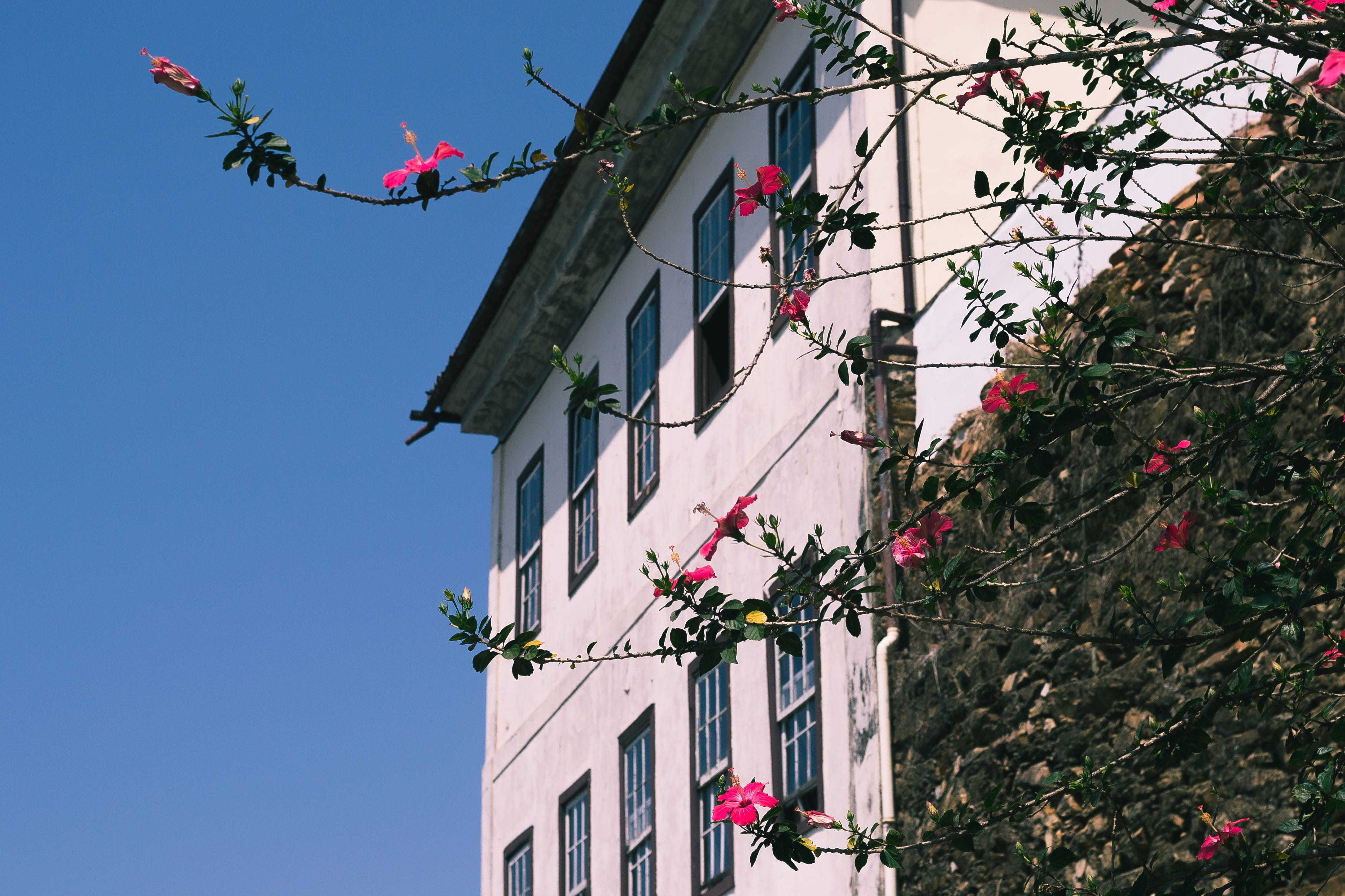architecture, building, structure, blue, sky, house, windows