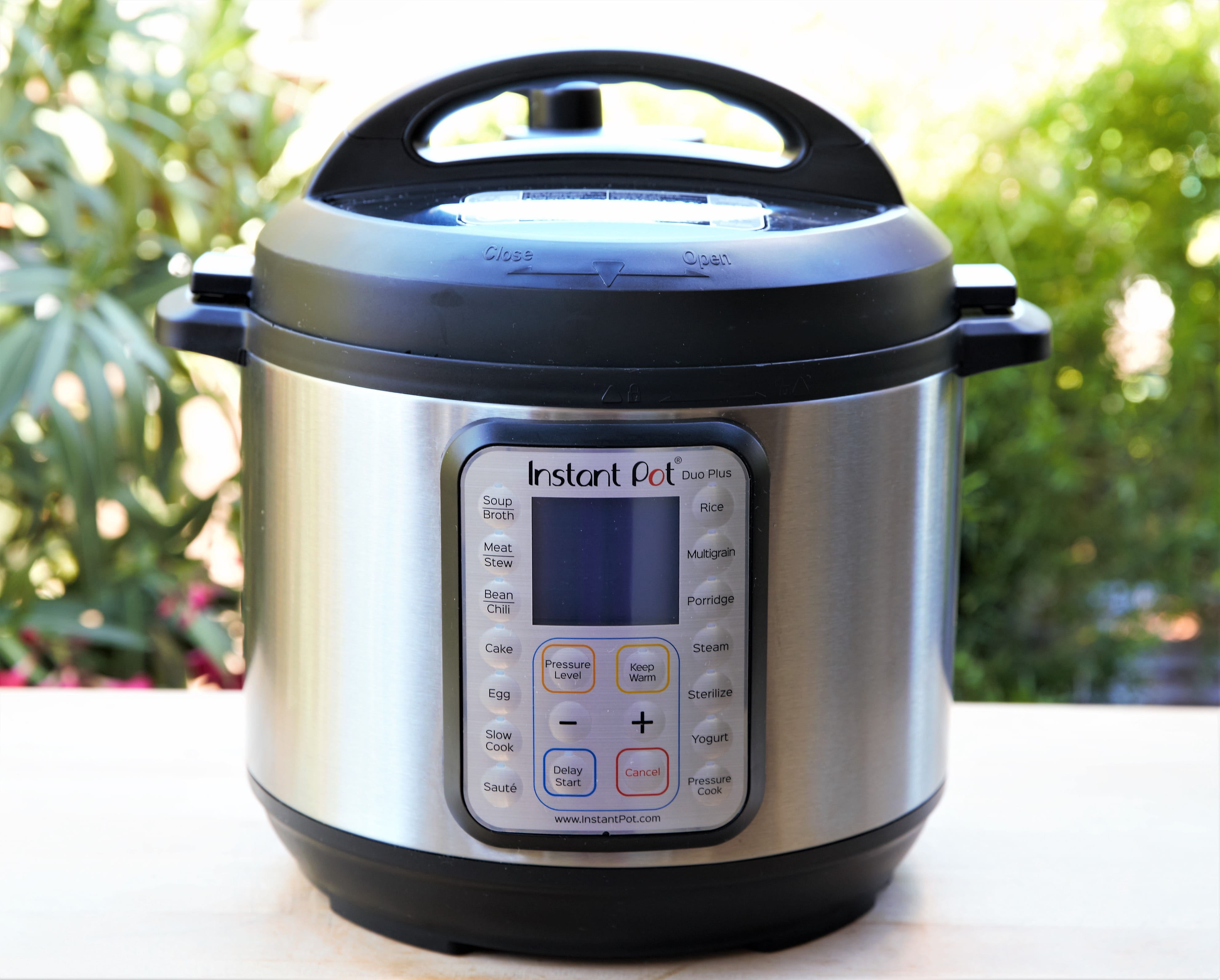 instantpot, dinner, entrée, foods, focus on foreground, close-up