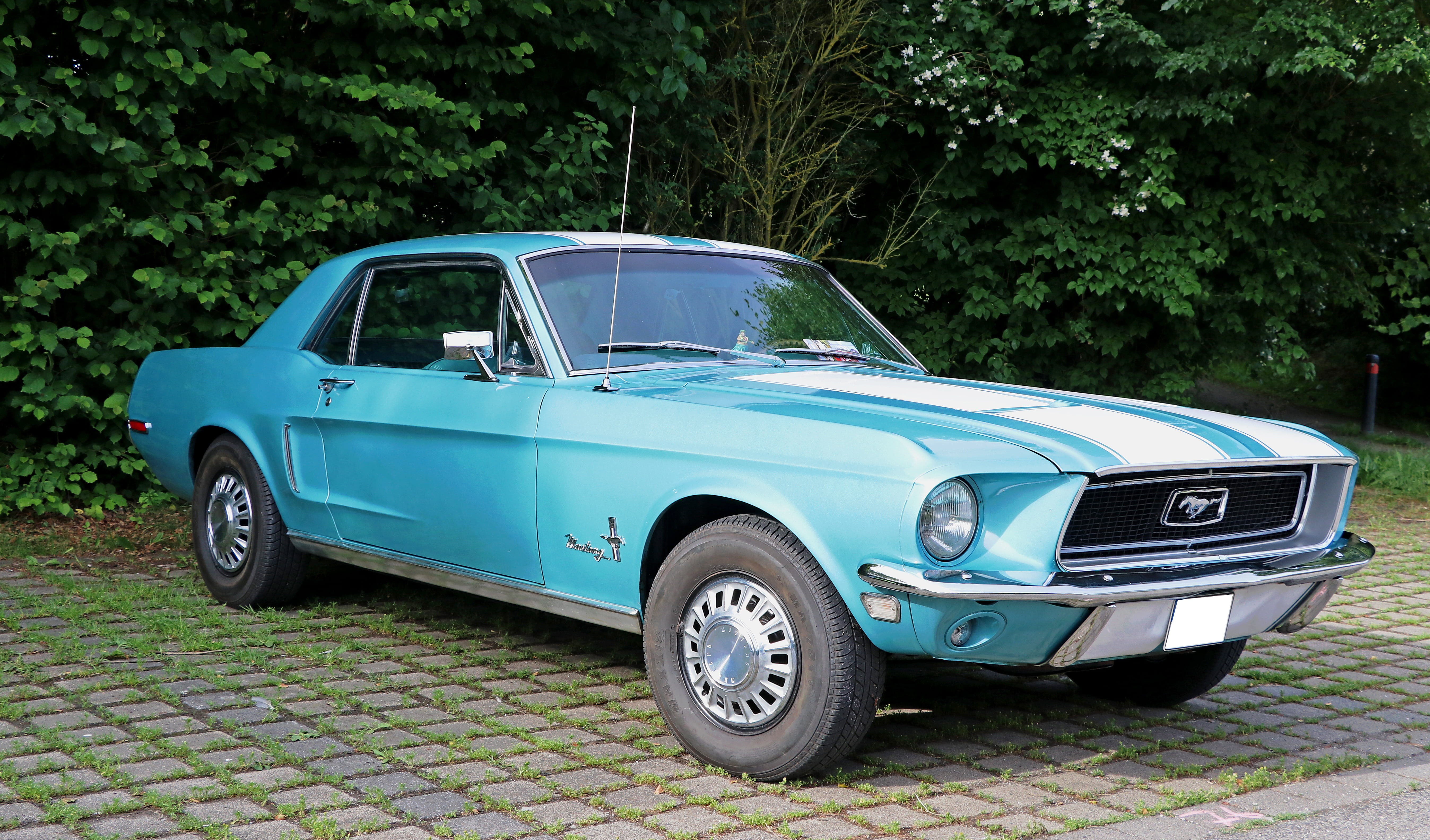 blue Ford Mustang coupe near green leaf tree at daytime, auto