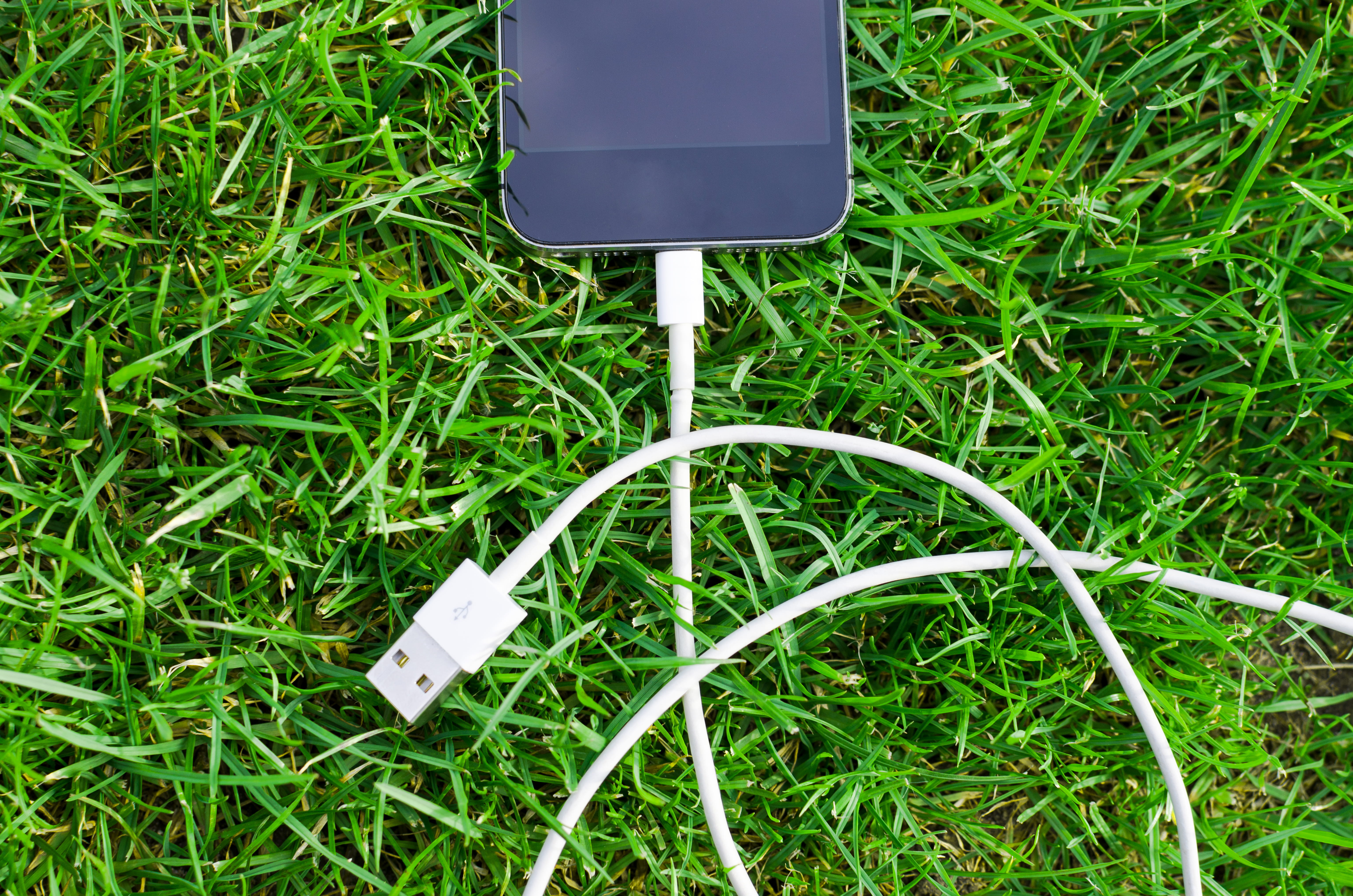 cable, connection, grass, technology, cellphone, device, electronics