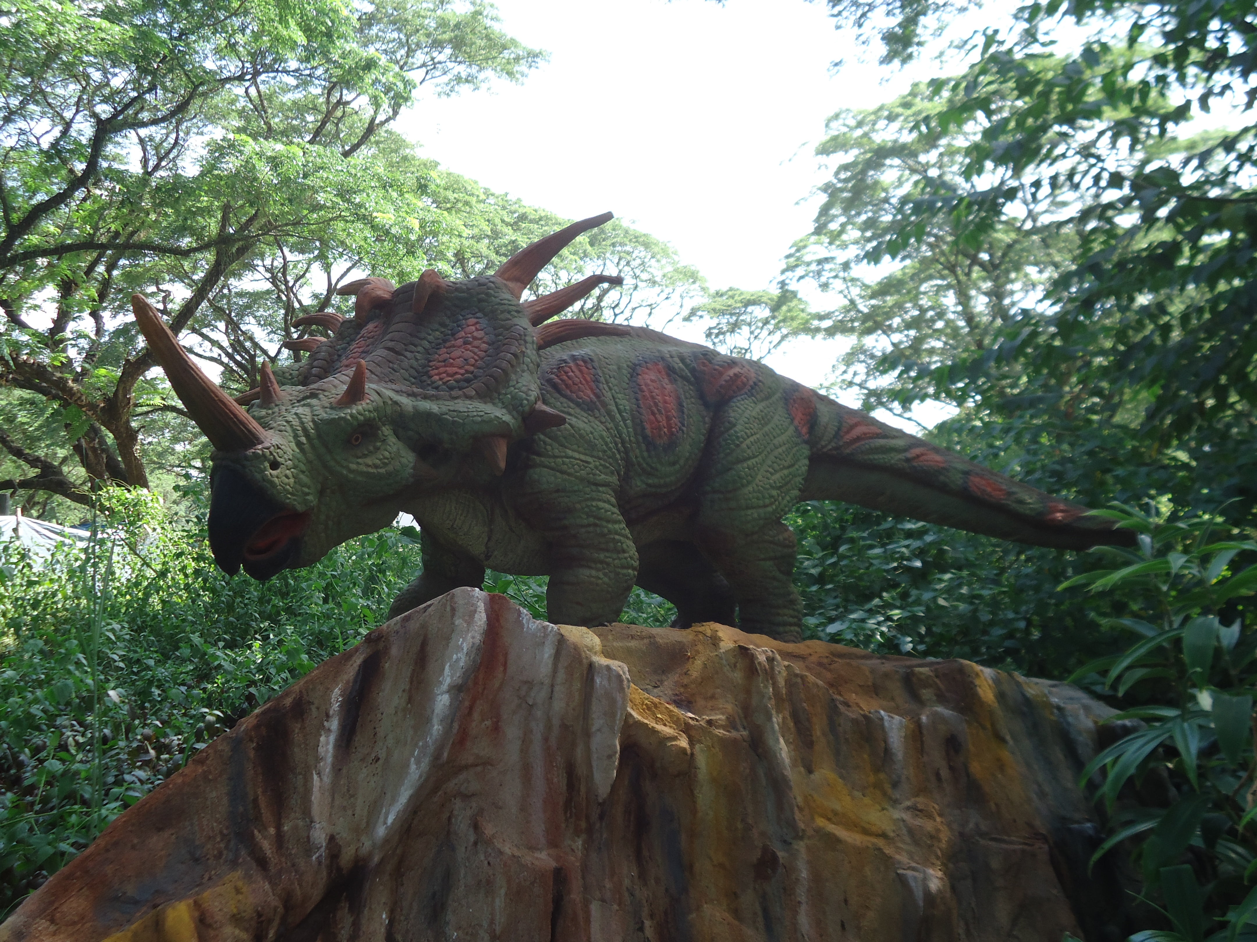 dinosaur, triceratops, jurassic, reptile, exposition, kids fun