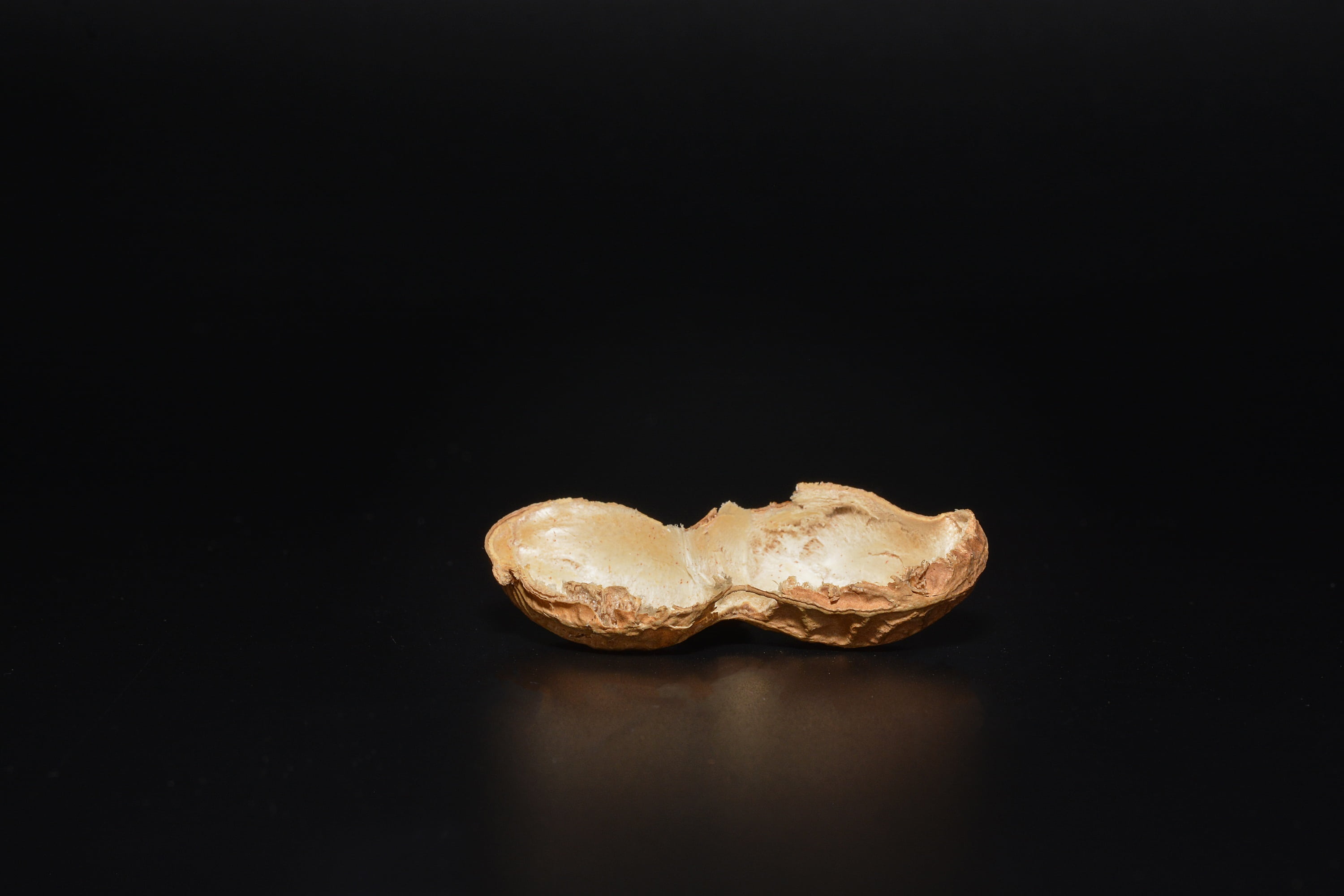 peanut, cut in half, empty, halved peanut shell, empty peanut