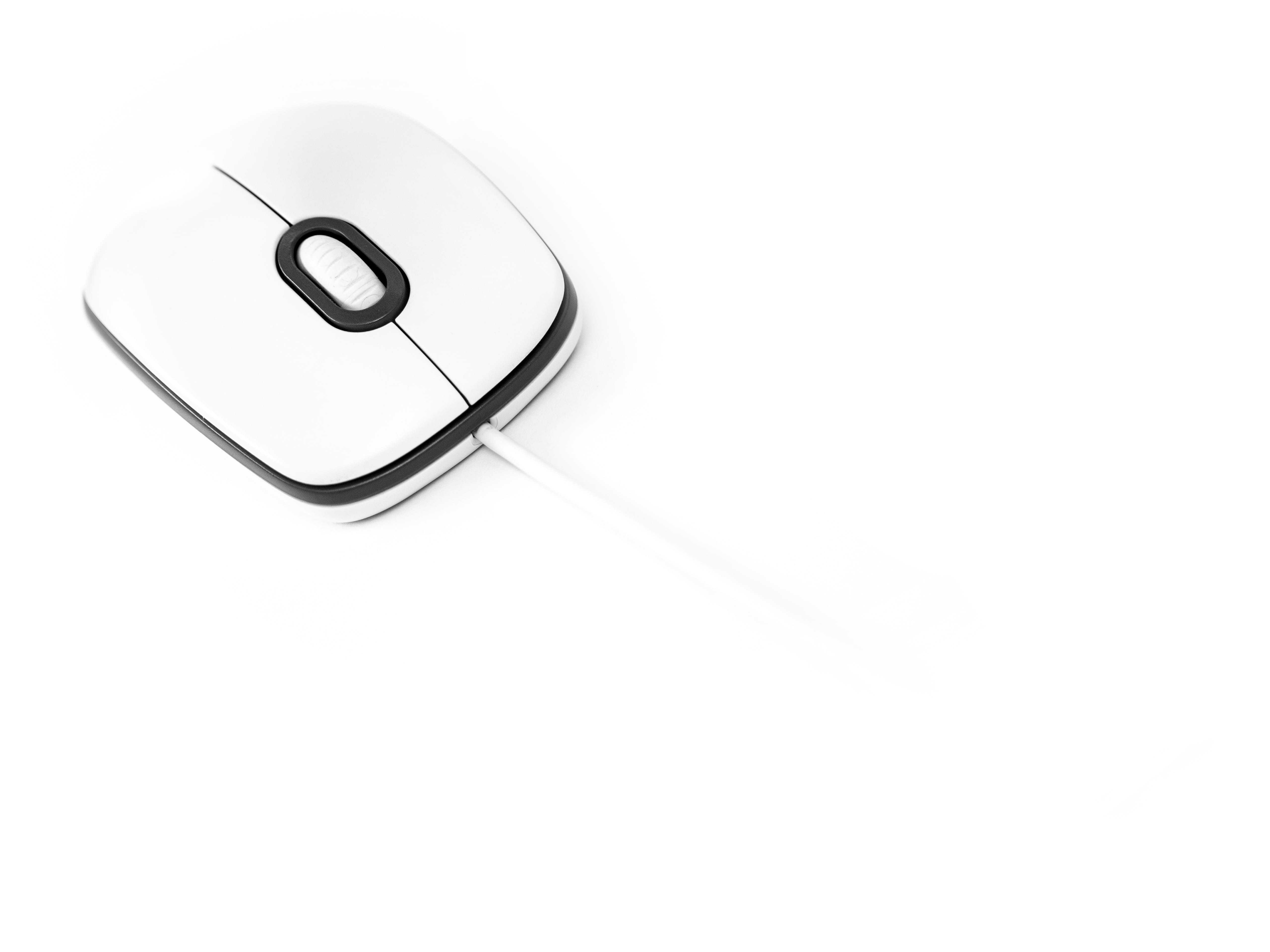 mouse, white, computer, copy space, white background, technology